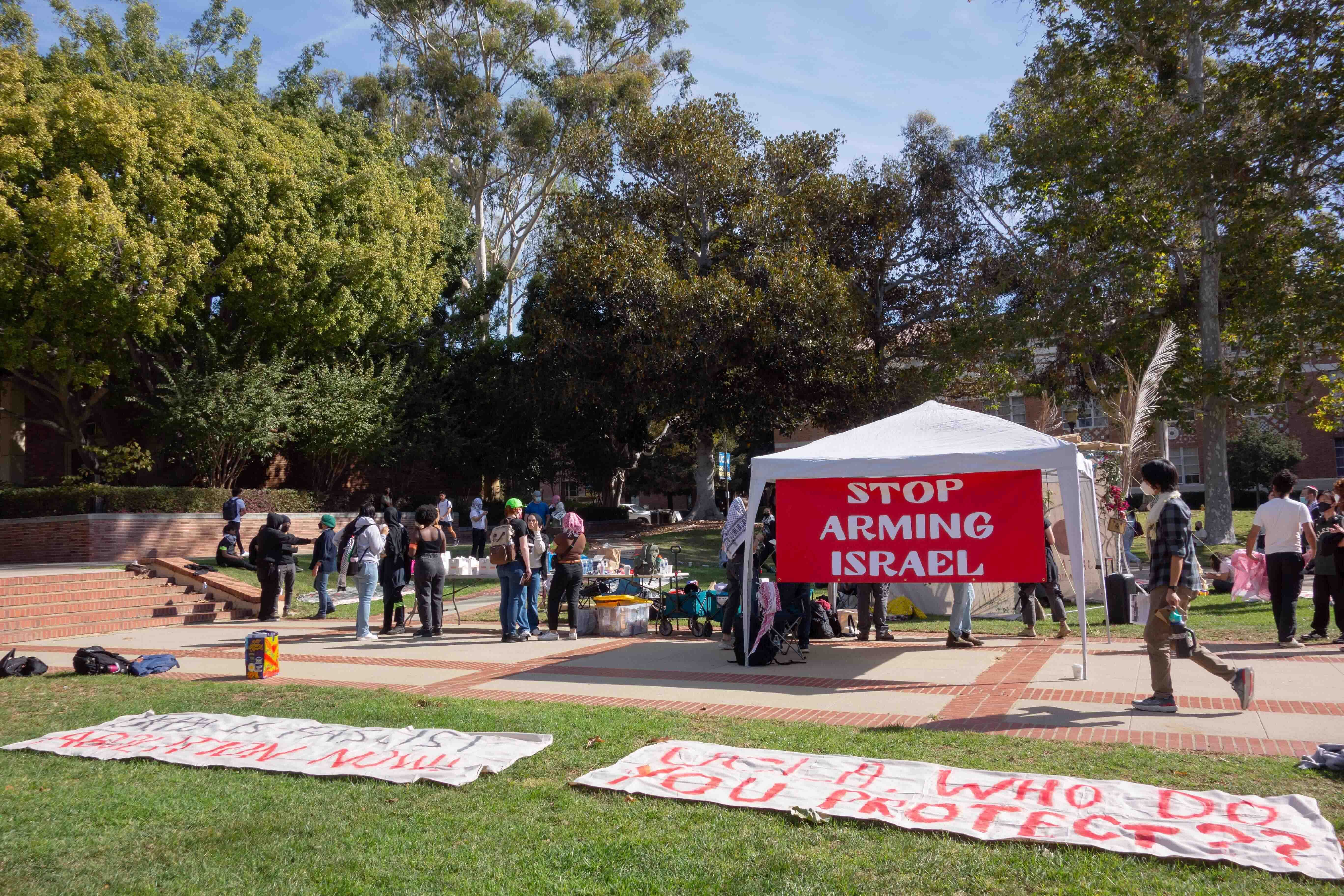 UCPD Sweeps Gaza Solidarity Sukkah In Dickson Court, One Protester ...