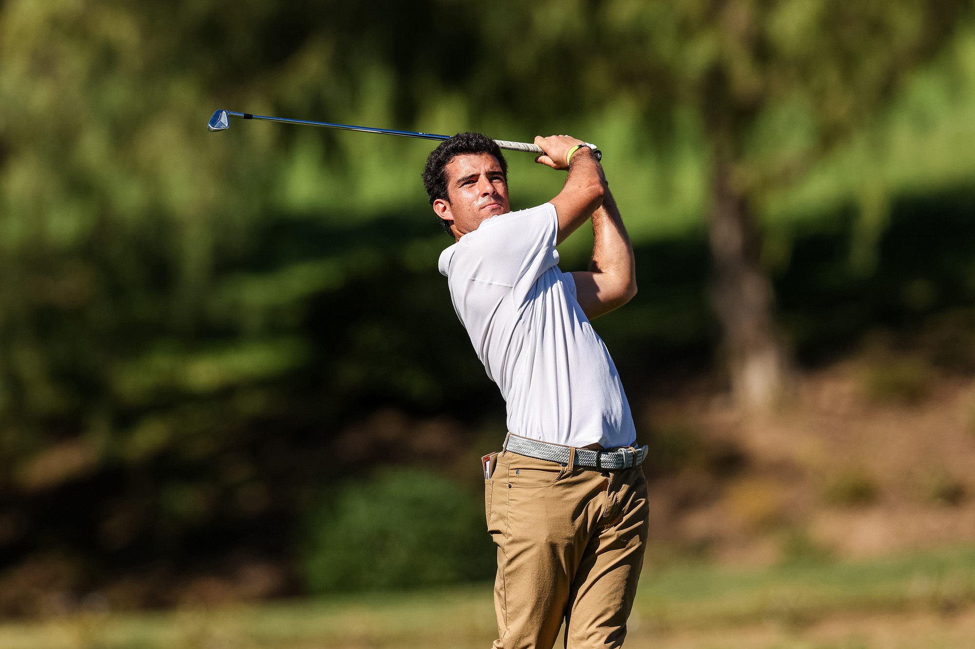 UCLA men’s golf opens new year with 12th place finish in Southwestern Invitational – Daily Bruin