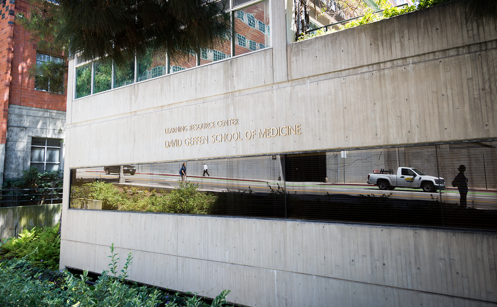 UCLA School of Medicine hosts panel to highlight Black professionals in health