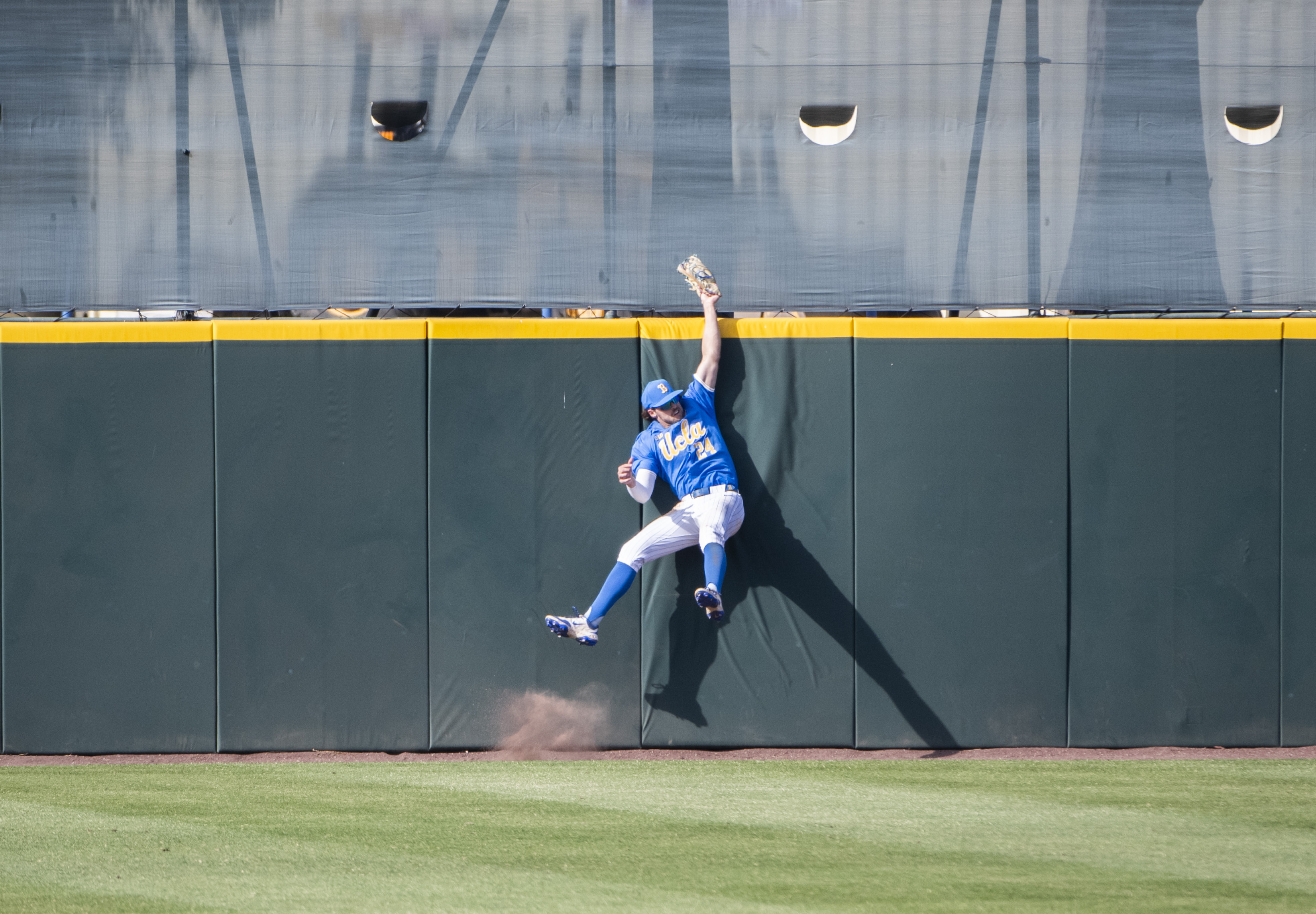 Redshirt senior outfielder AJ Salgado makes a leaping grab at the wall. (Max Zhang/Daily Bruin)