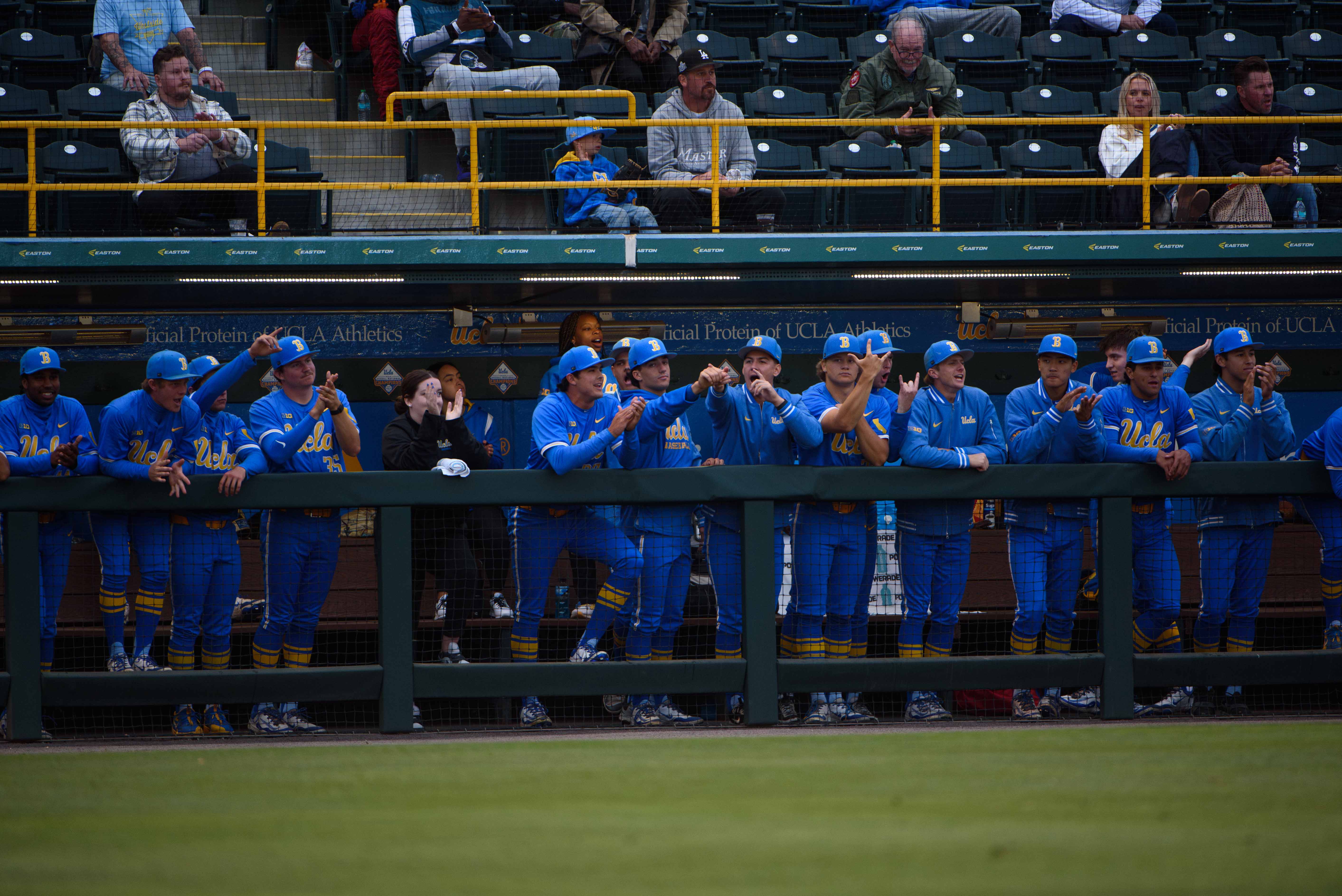 Members of UCLA baseball support their teammates from the Bruin dugout. (Libby Li/Daily Bruin)