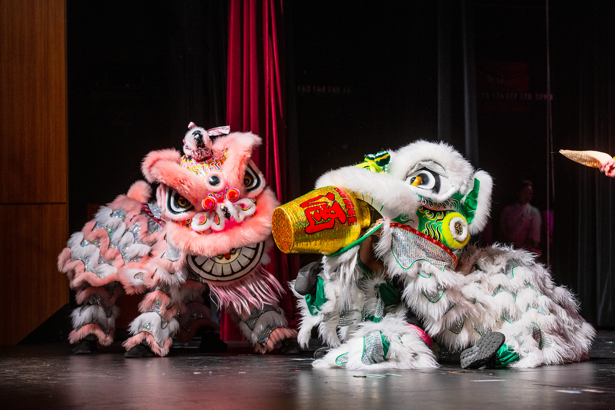 Members of the Jade Lotus Lion Dance team wear elaborate lion costumes while on stage at Schoenberg Hall on Saturday. The team appeared as guest performers at the Lotus Steps 2025 event hosted by the Chinese Cultural Dance Club and performed a traditional drunken lion dance. (Selin Filiz/Daily Bruin staff)