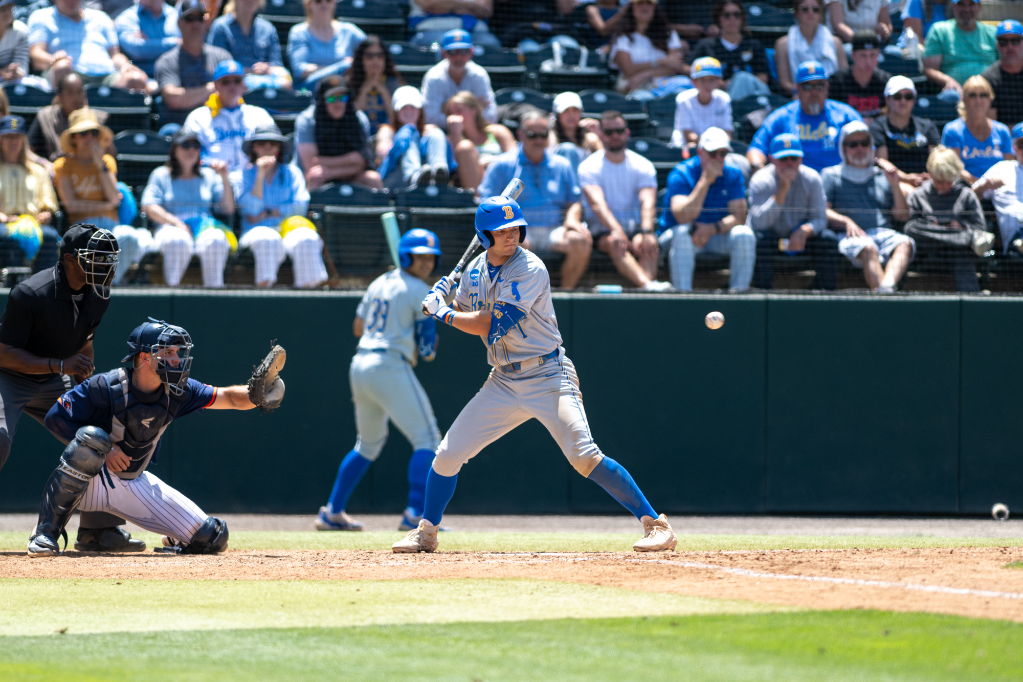 Sophomore shortstop Roch Cholowsky prepares to swing. He finished his 2025 campaign slashing .353/.480/.710. (Aidan Sun/Assistant Photo editor)