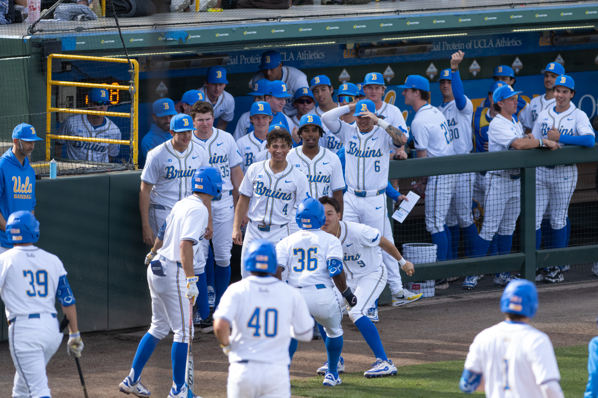 UCLA baseball celebrates after scoring at Jackie Robinson Stadium. (Max Zhang/Daily Bruin)