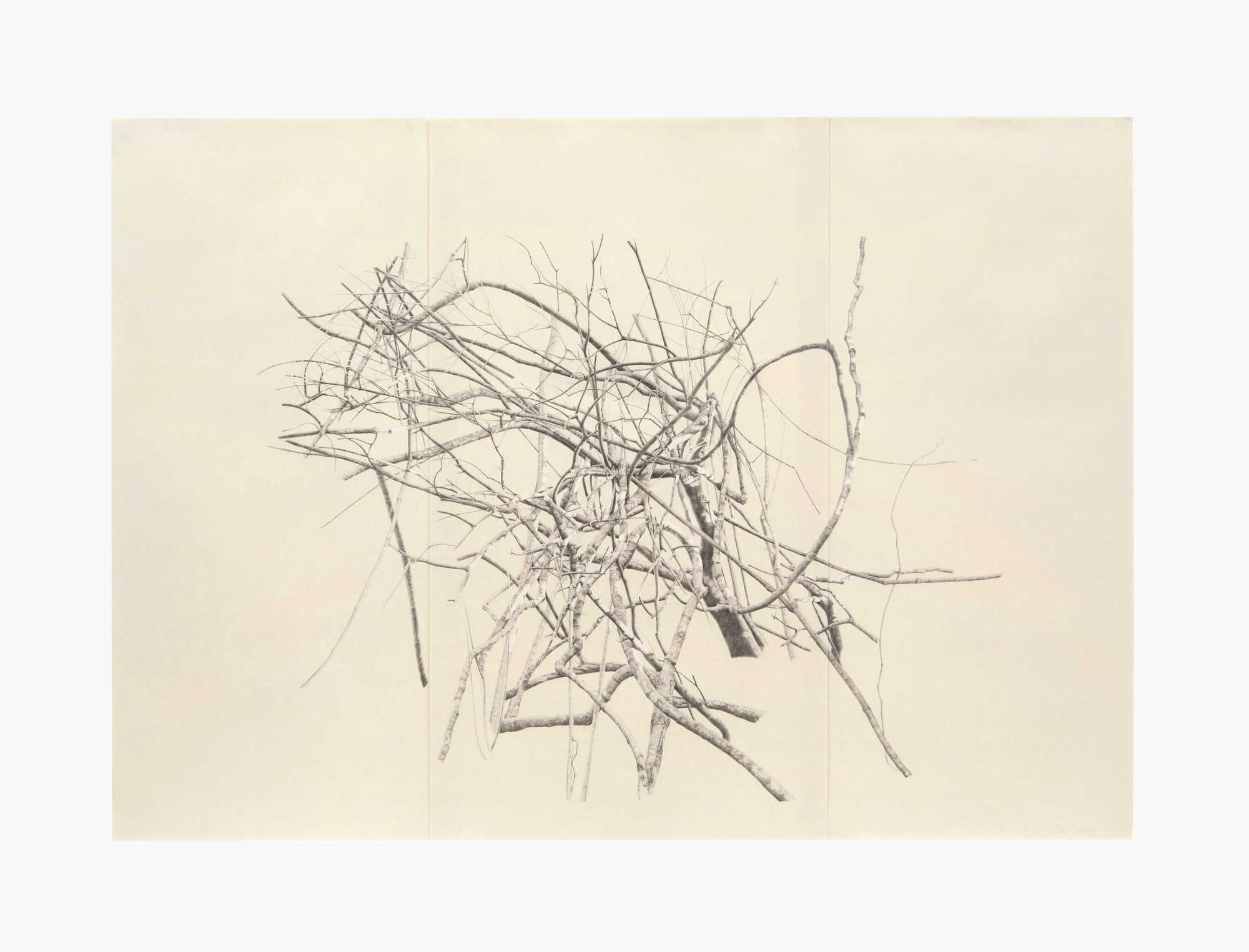 Lithography piece of large branches made by LA artist, Toba Khedoori. The untitled work is part of the Getty exclusive section of 