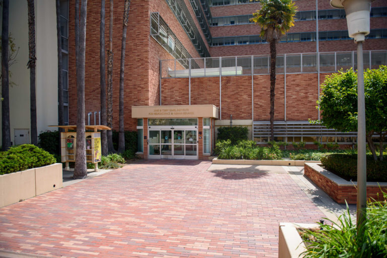 About 800 NIH, NSF research grants suspended following UCLA federal funding cuts