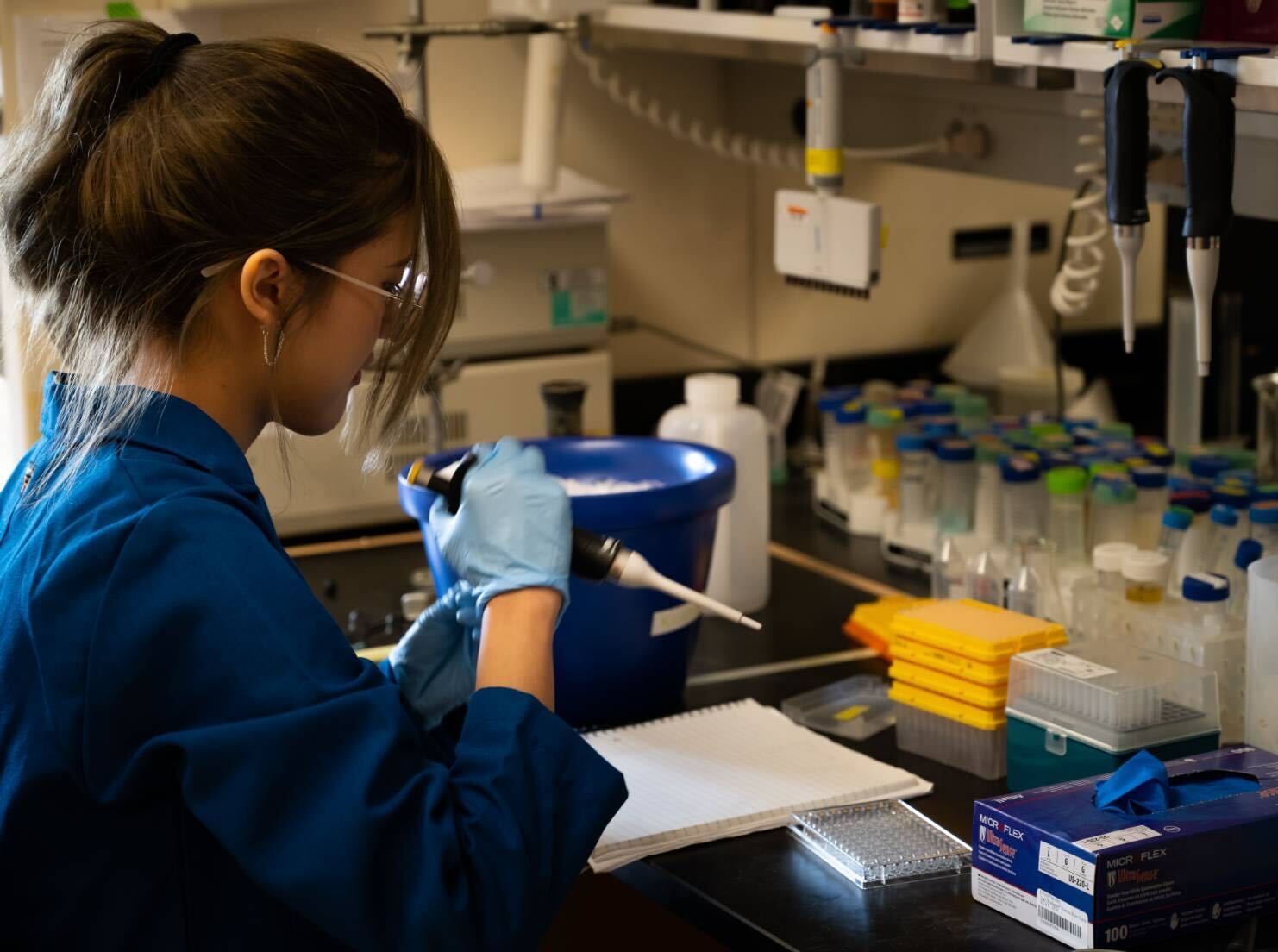 (Courtesy of Arjun Pamidi)