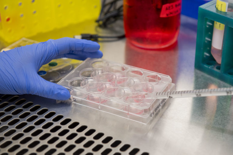 UCLA professors express concern over new hiring review, limited student research