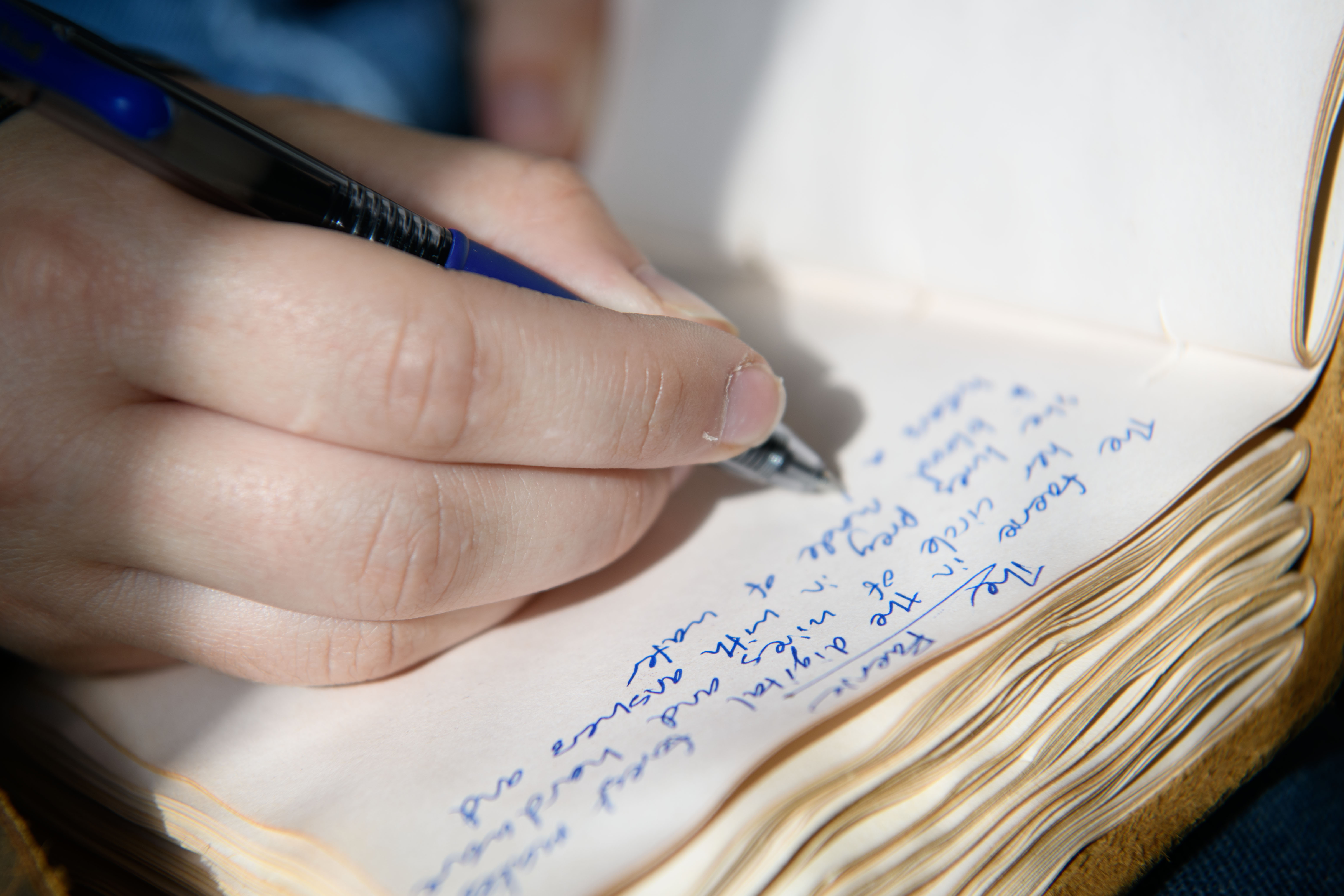 (Brianna Carlson/Daily Bruin staff)