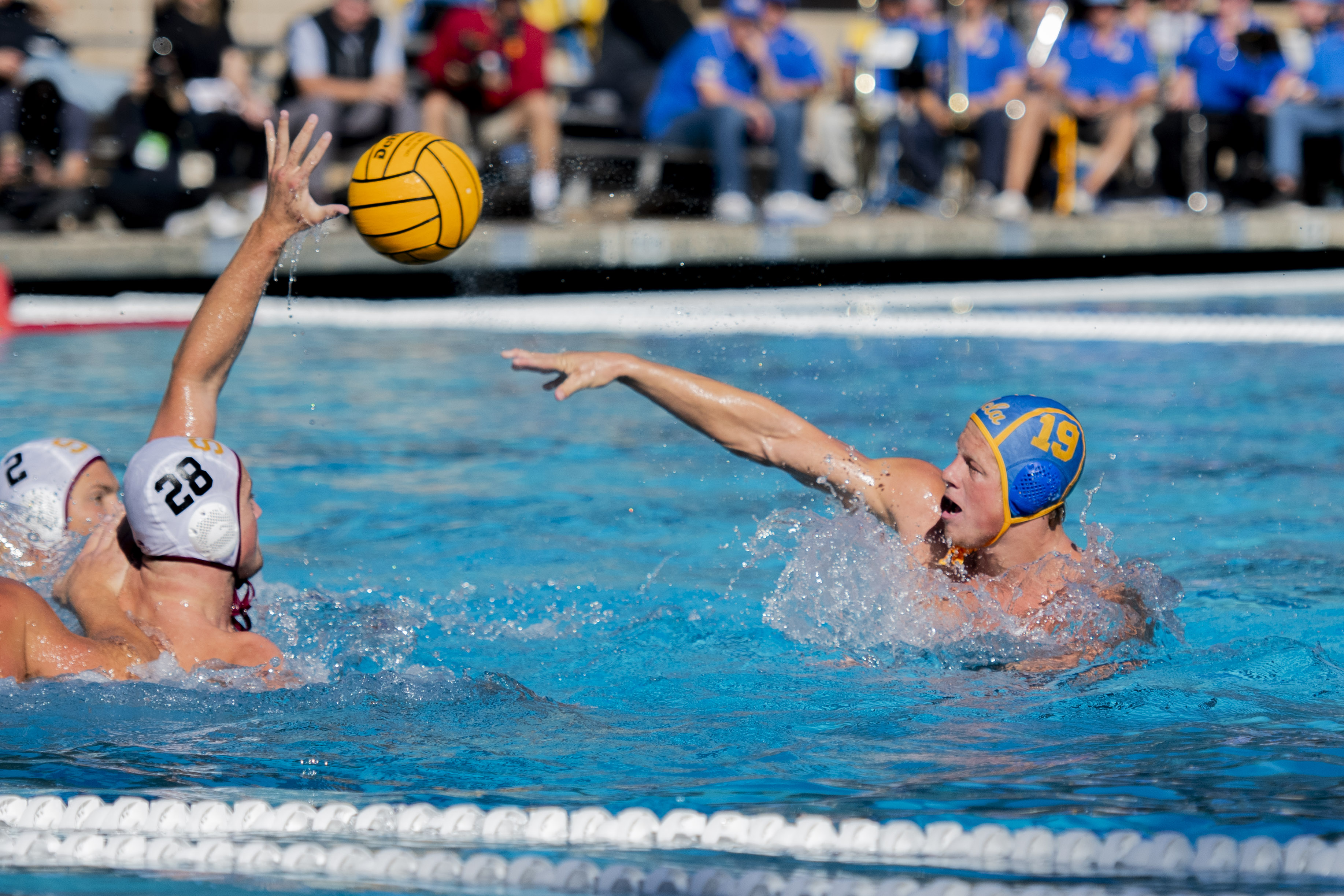 (Max Zhang/Daily Bruin staff)