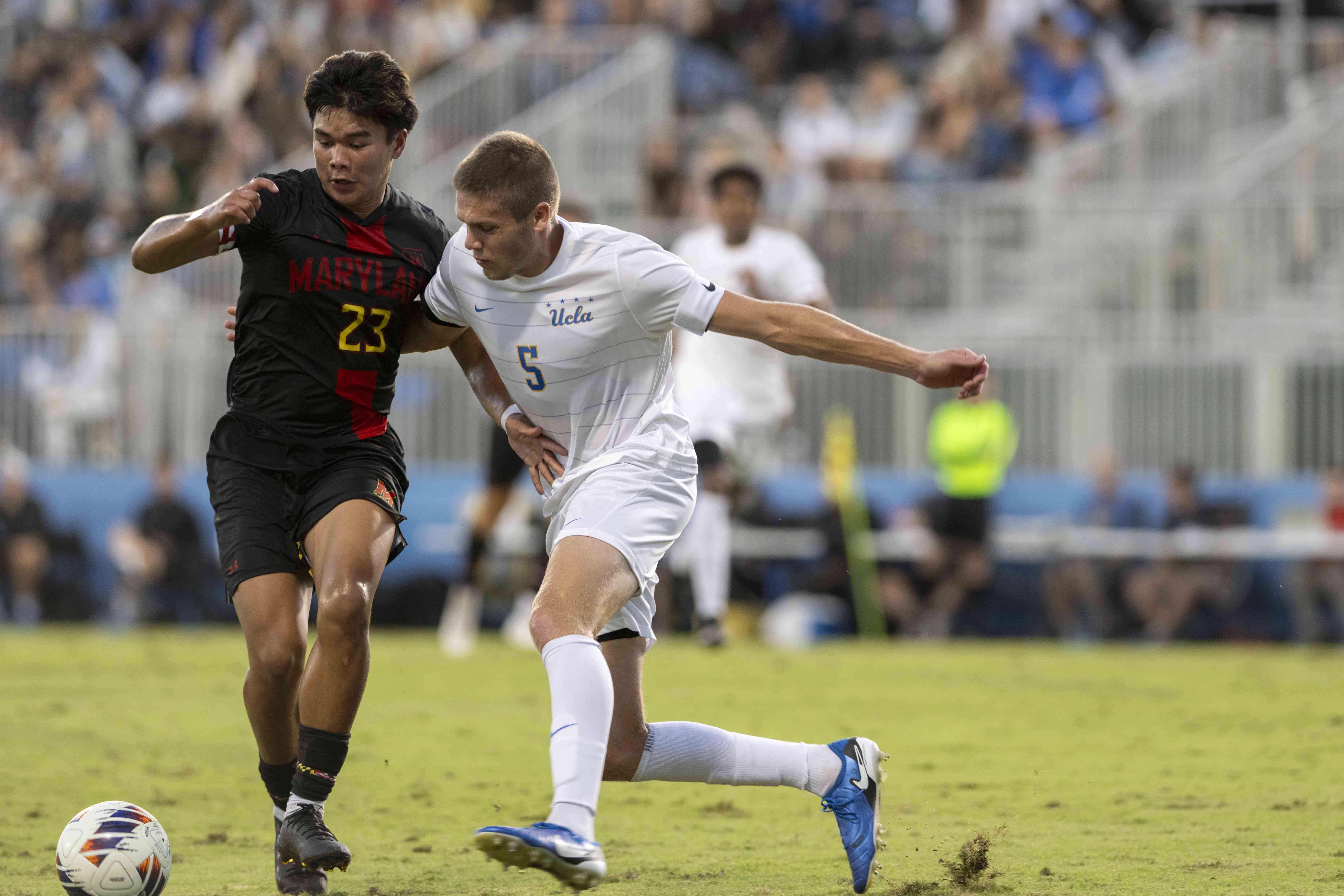 (Tszshan Huang/Daily Bruin)