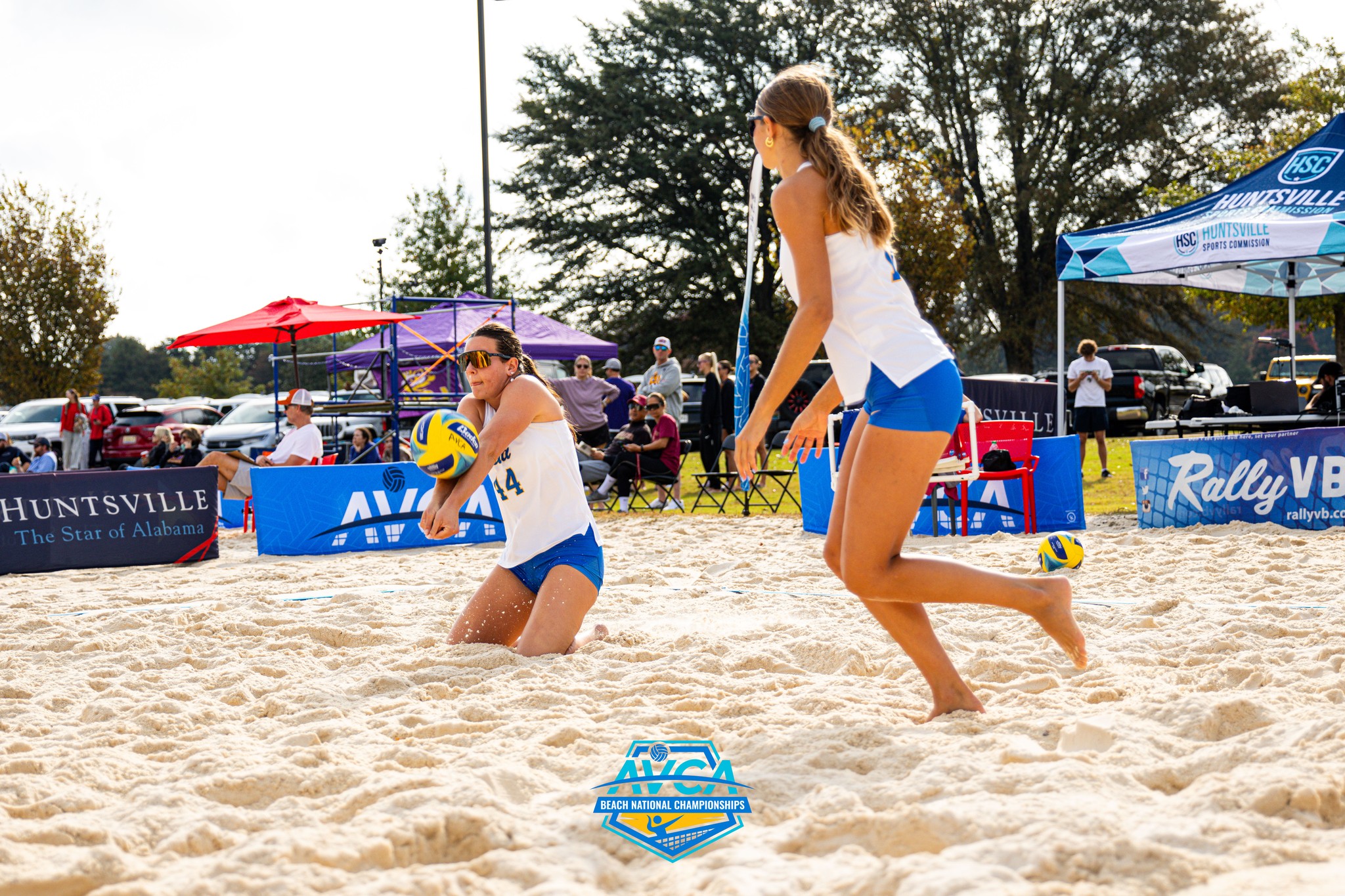 (Courtesy of American Volleyball Coaches Association)