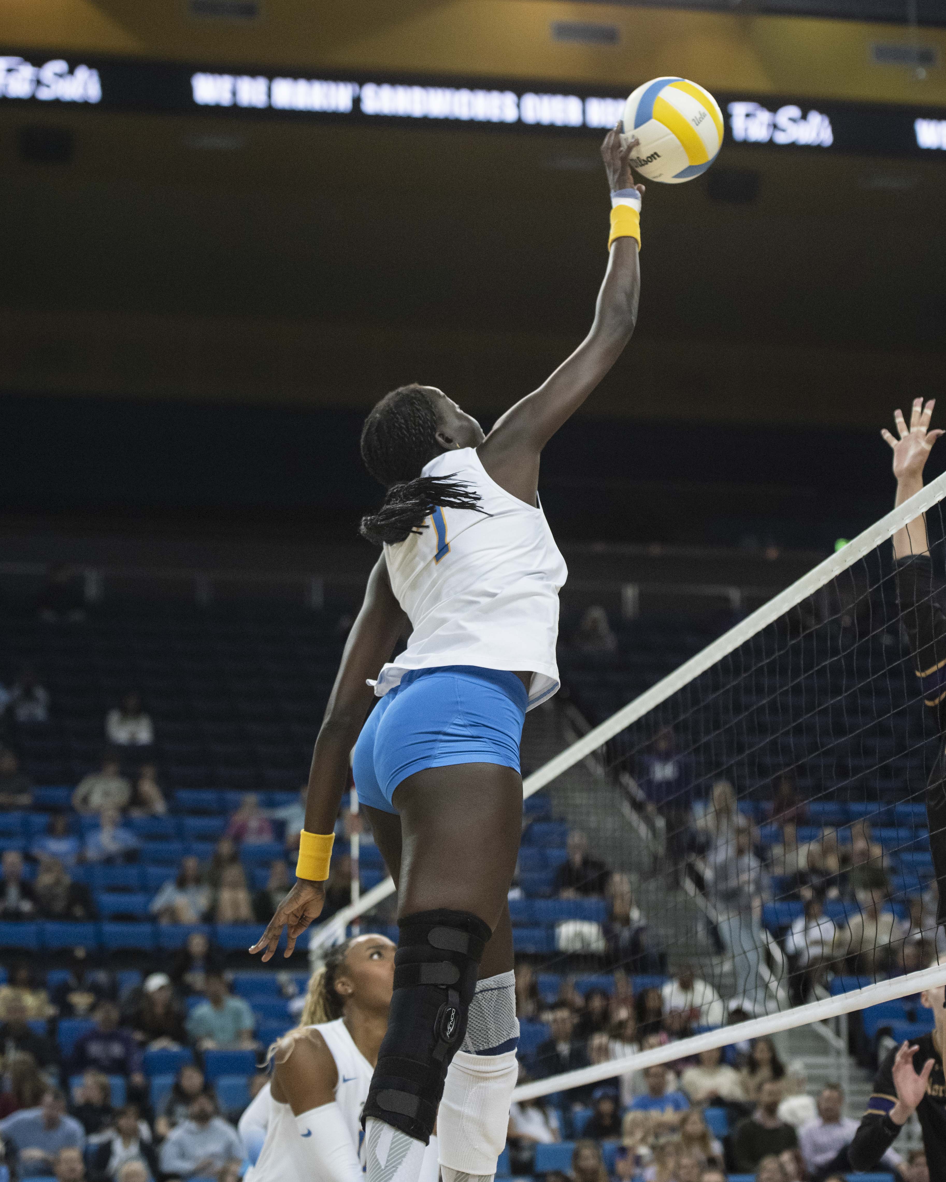 Graduate student middle blocker Phekran Kong jumps and begins to hit the ball. (Brianna Carlson/Daily Bruin staff)
