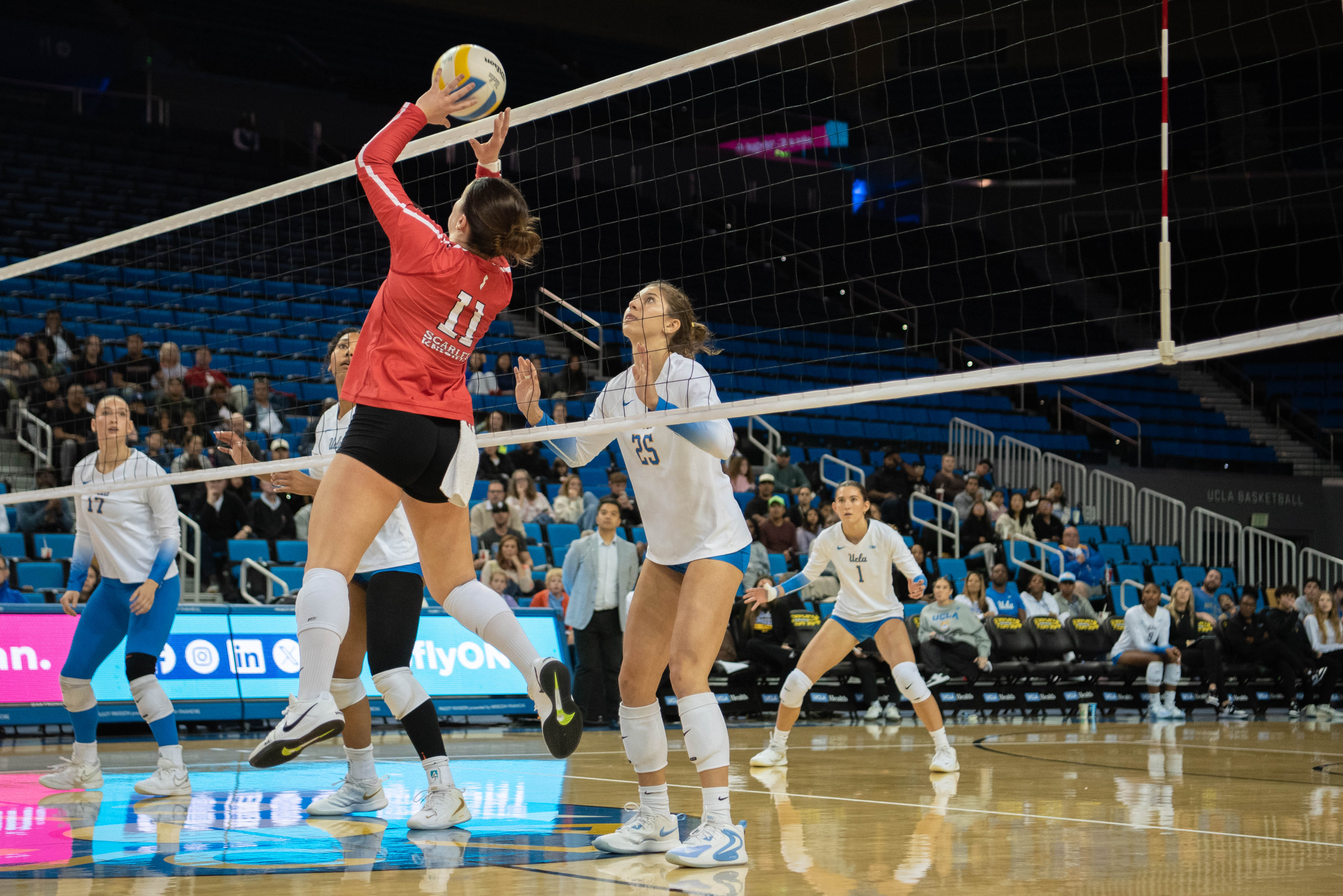Senior outside hitter Carly Hendrickson prepares and squares up for the block. (Karla Cardenas-Felipe/Daily Bruin staff)