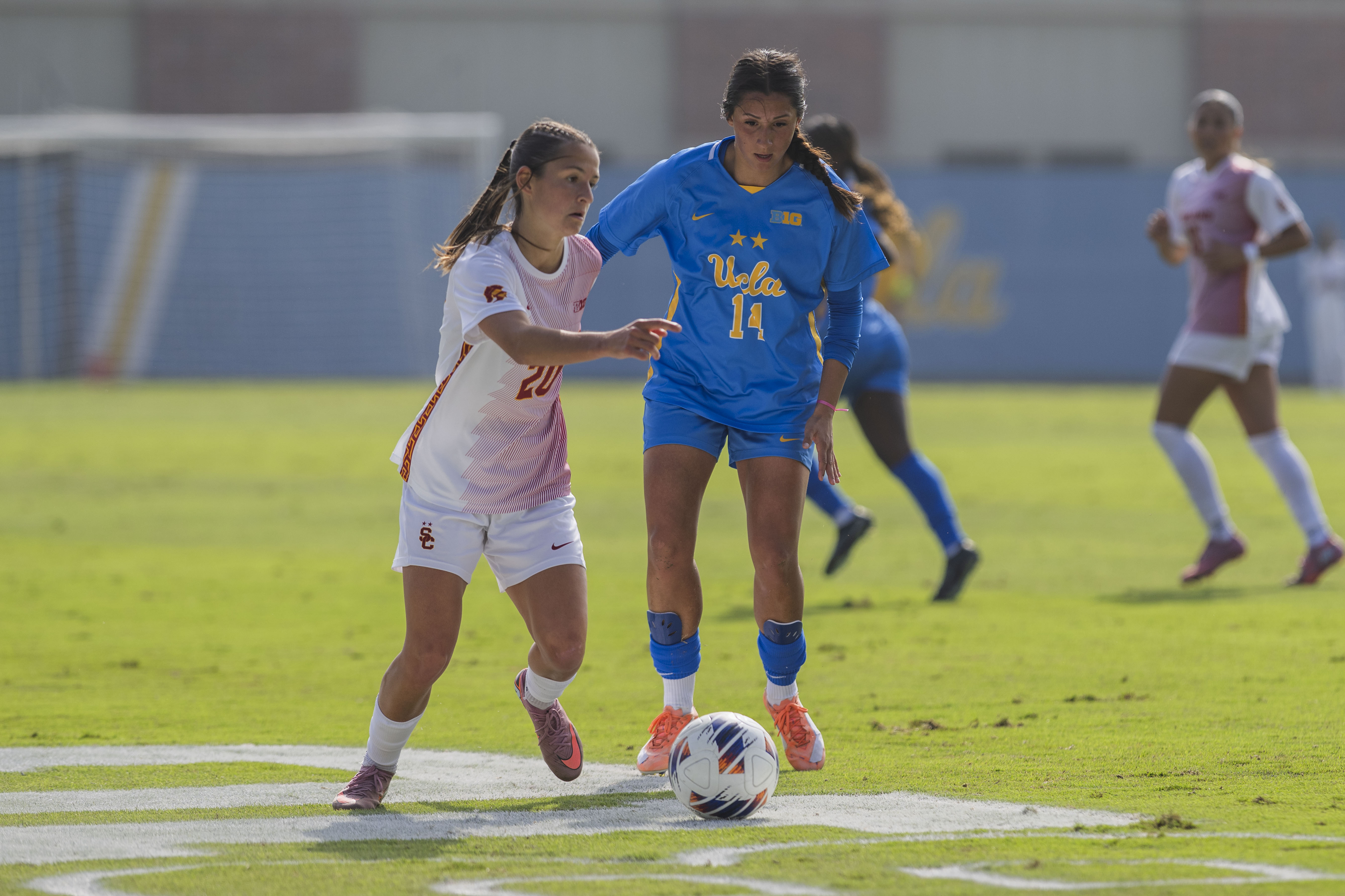 (Tszshan Huang/Daily Bruin)