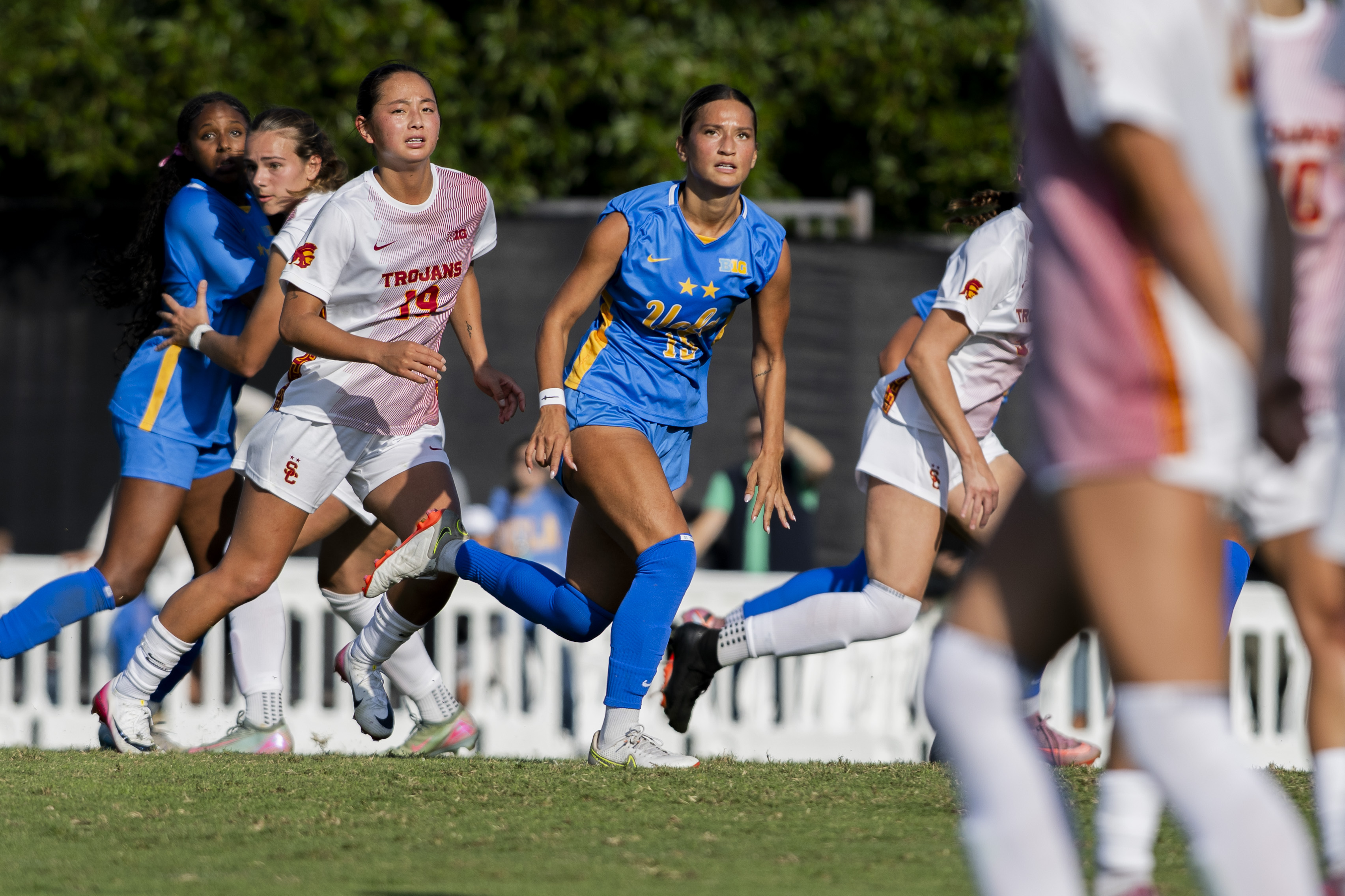 (Tszshan Huang/Daily Bruin)