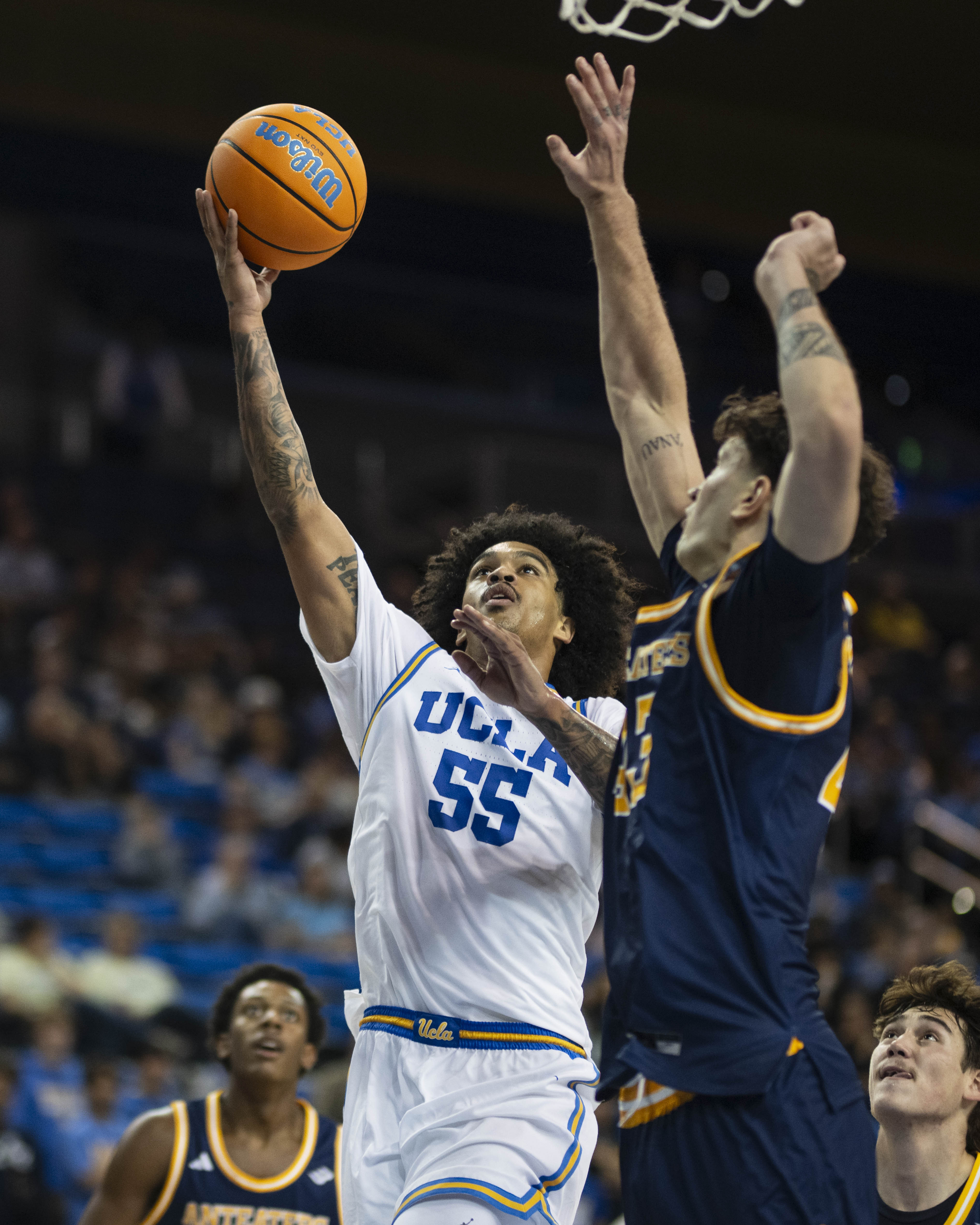 (Aidan Sun/Assistant Photo editor)