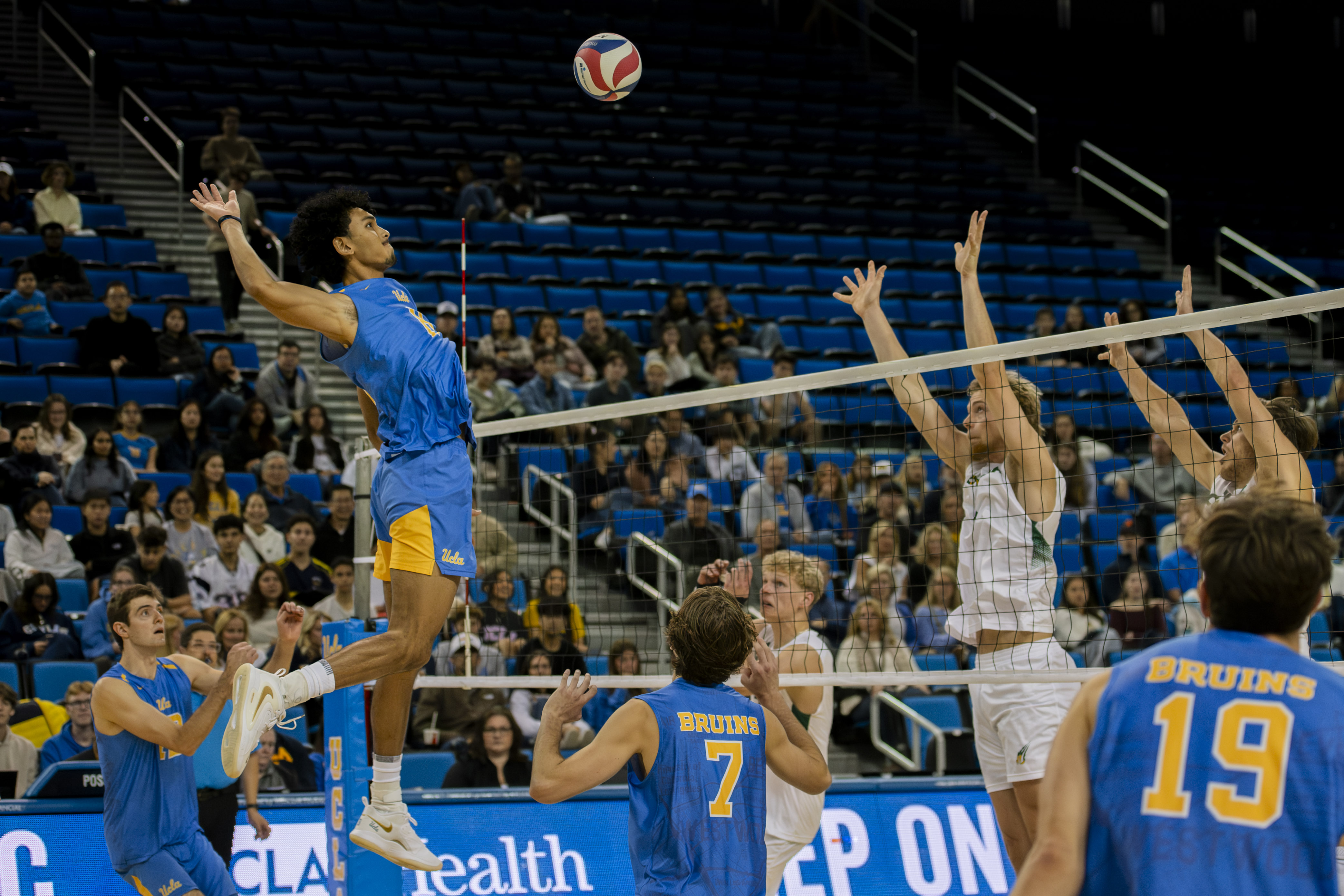 (Amelia Chief/Daily Bruin senior staff)