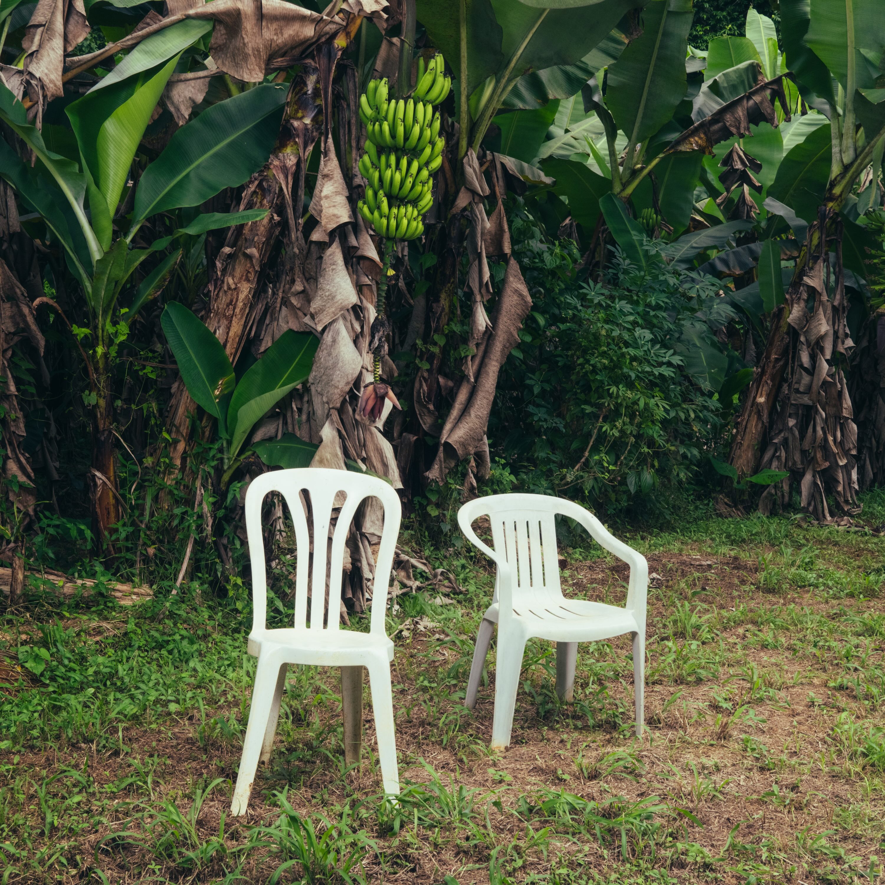 Album cover for “DeBÍ TiRAR MáS FOToS” shows two white plastic chairs. The 2025 album by Puerto Rican artist Bad Bunny was named Album Of The Year by the Recording Academy, making this the first Spanish-language album to win the category. (Courtesy of Rimas Entertainment LLC.)