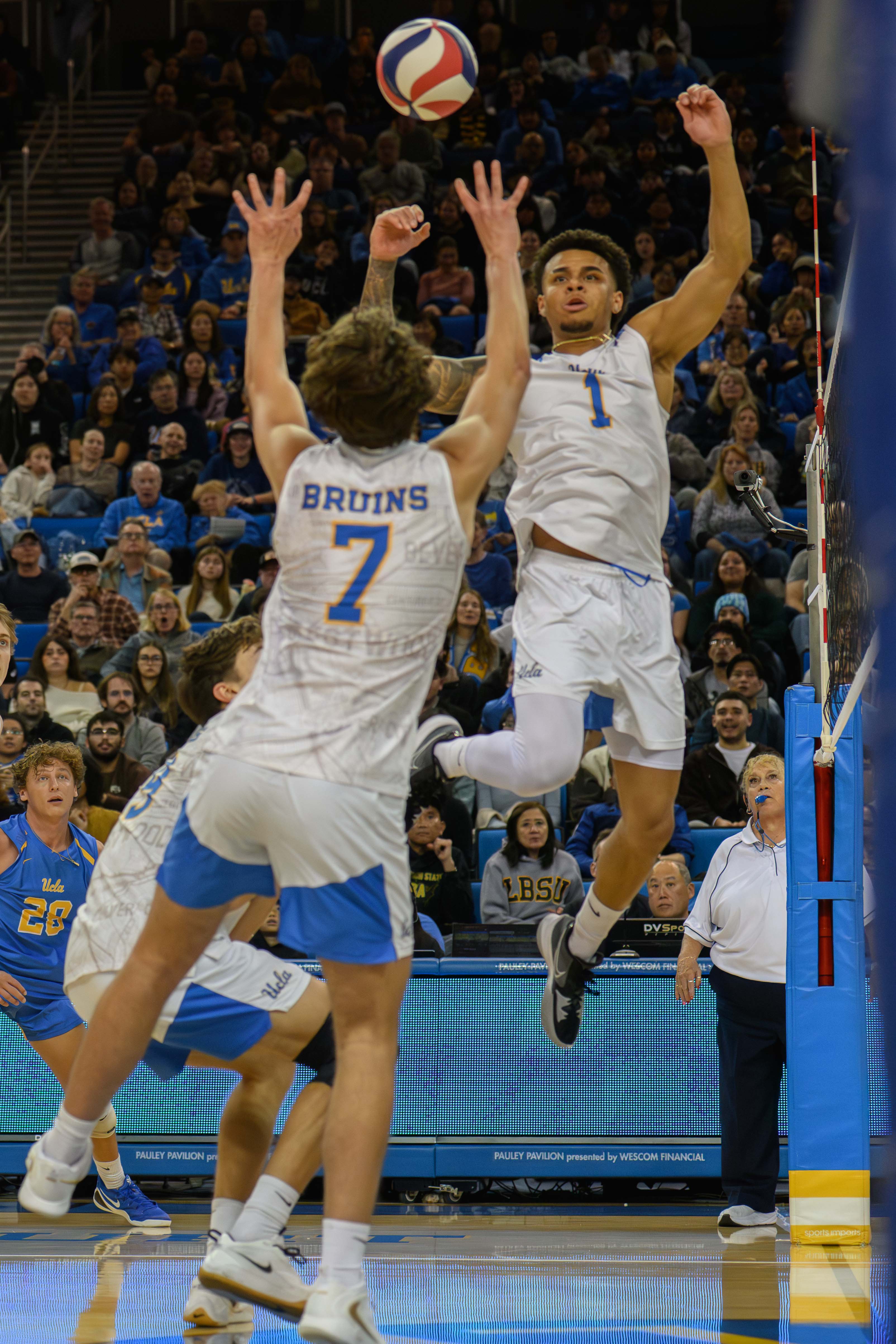 (Crystal Tompkins/Daily Bruin senior staff)