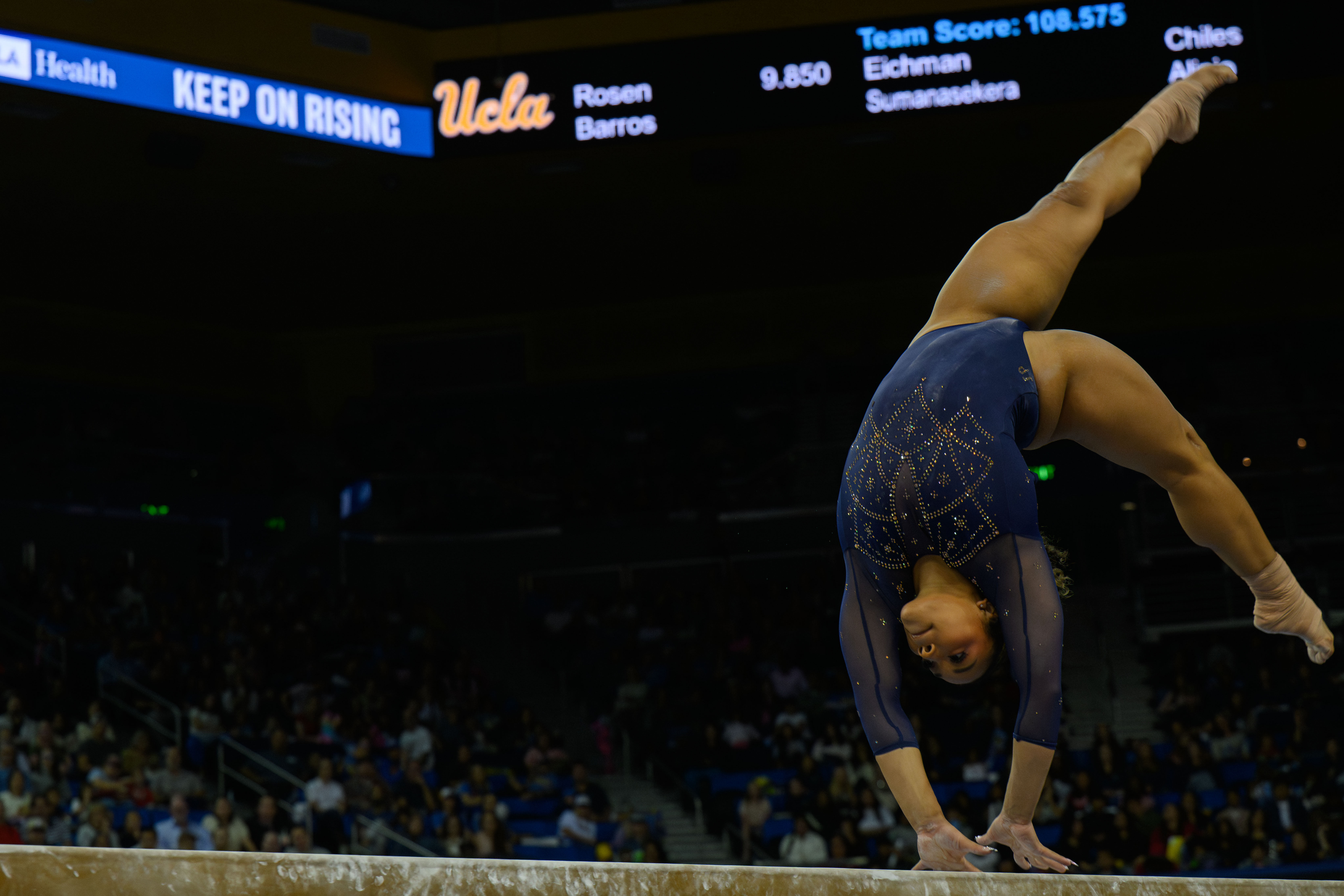 (Michael Gallagher/Assistant Photo editor)