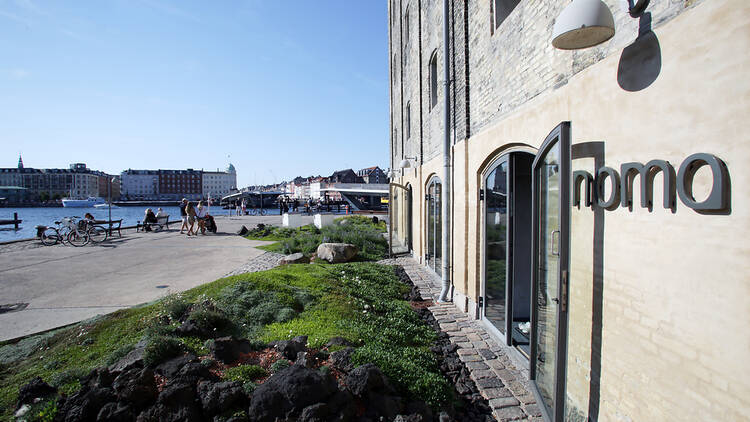 (Courtesy of Northfoto)