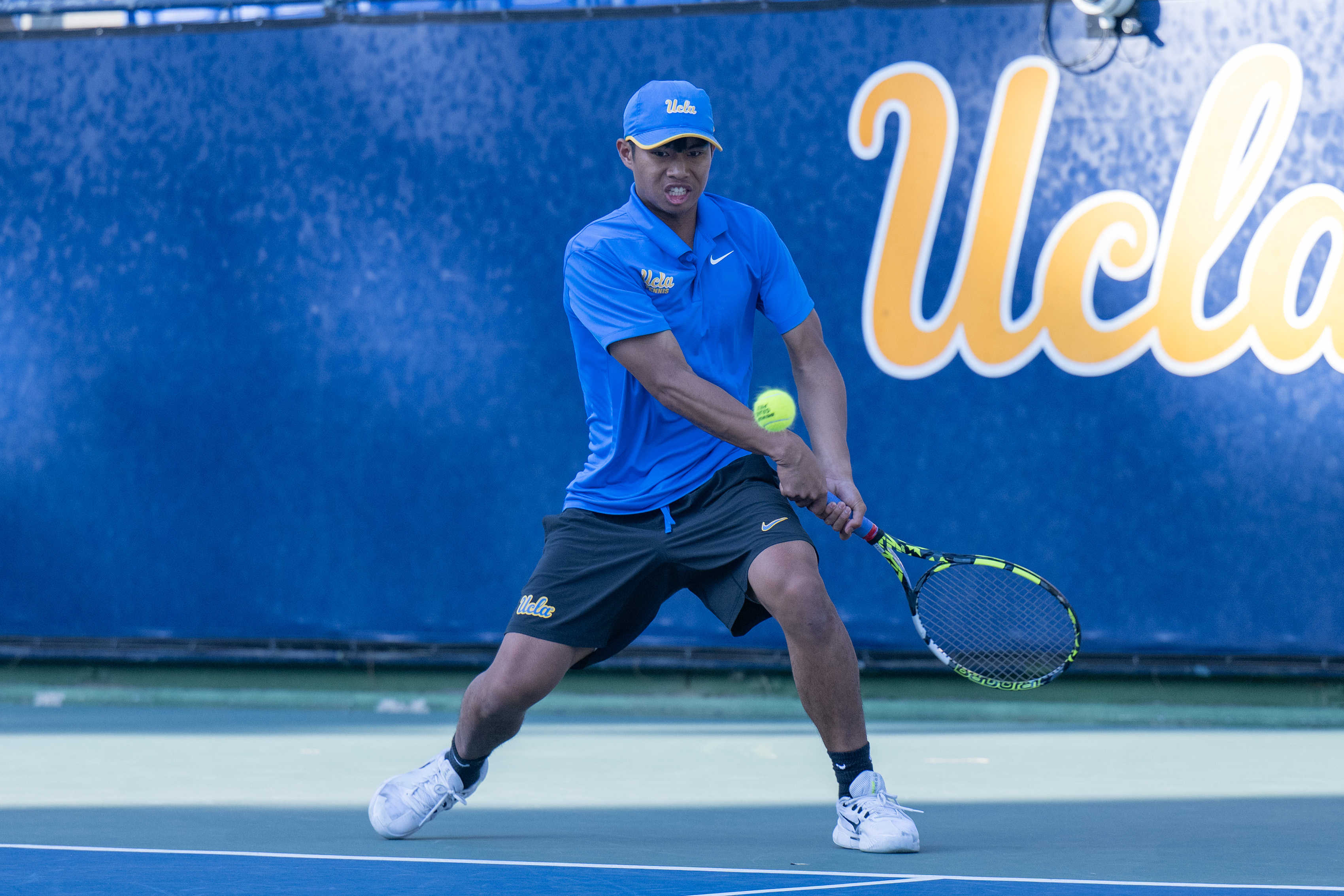 (Purvi Singhania/Daily Bruin)