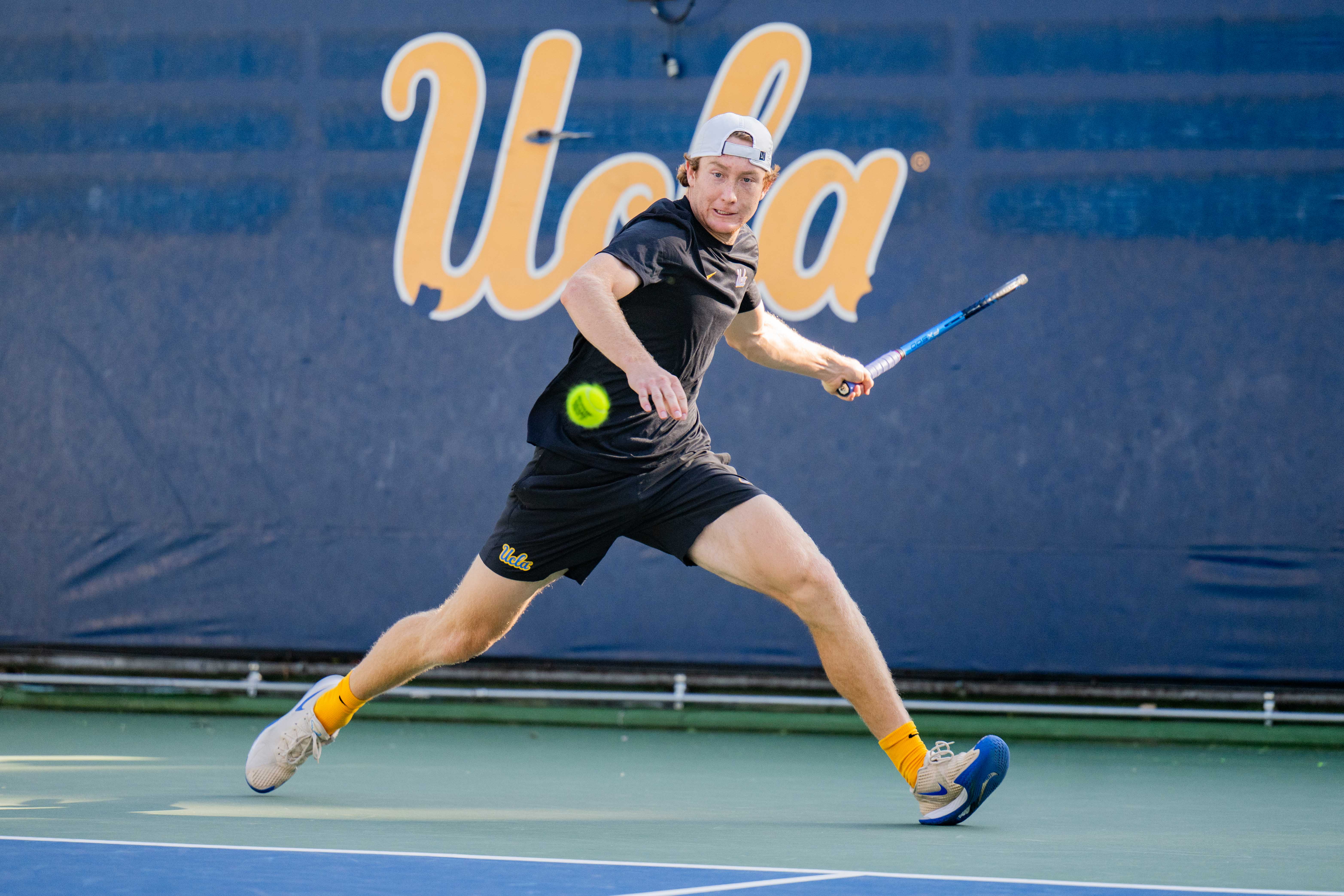 (Purvi Singhania/Daily Bruin)