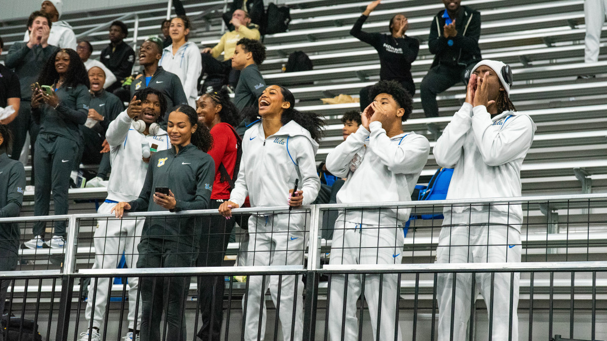 (Courtesy of Luca Gillis)