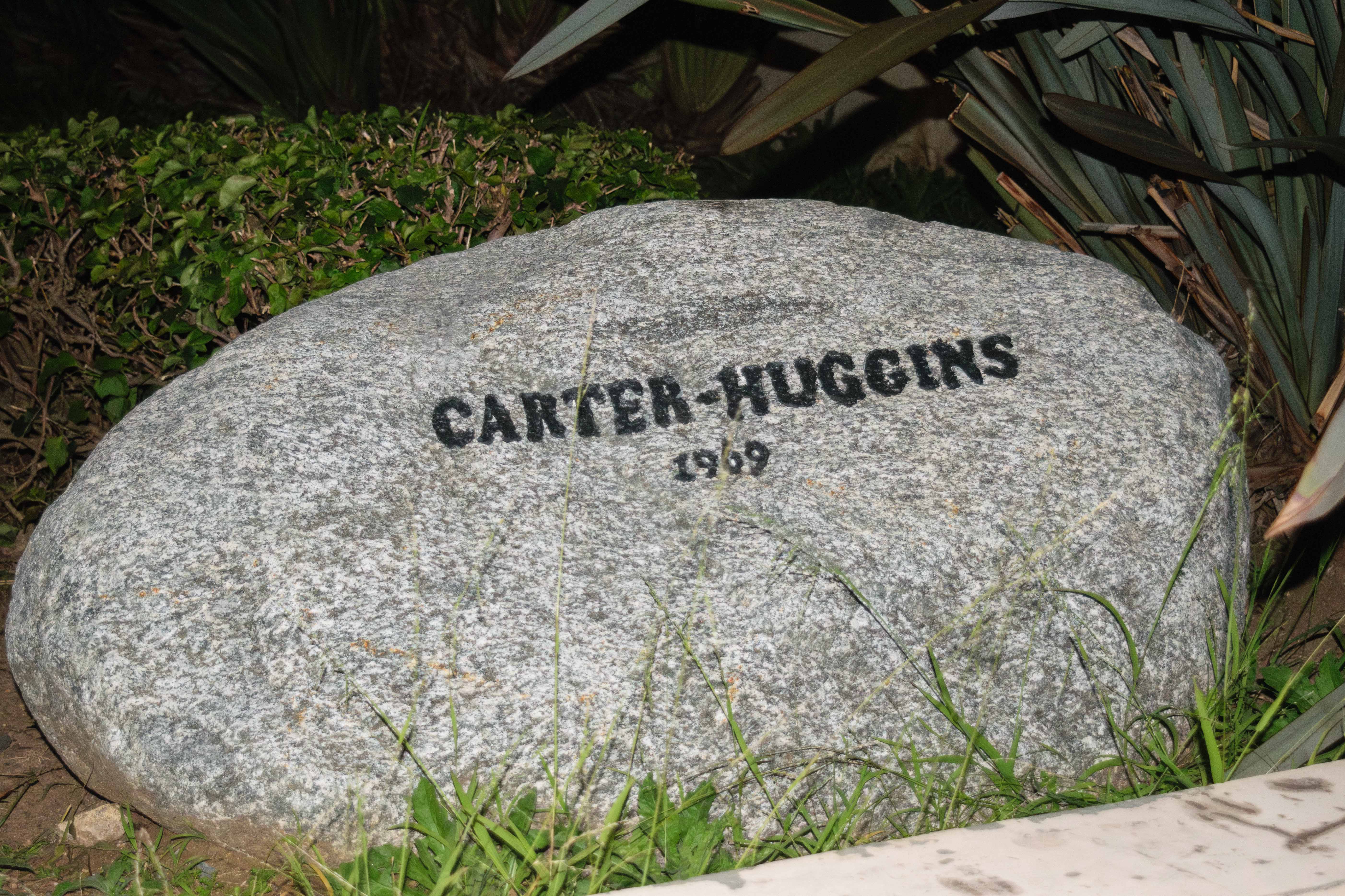 (Holden Yung/Daily Bruin)