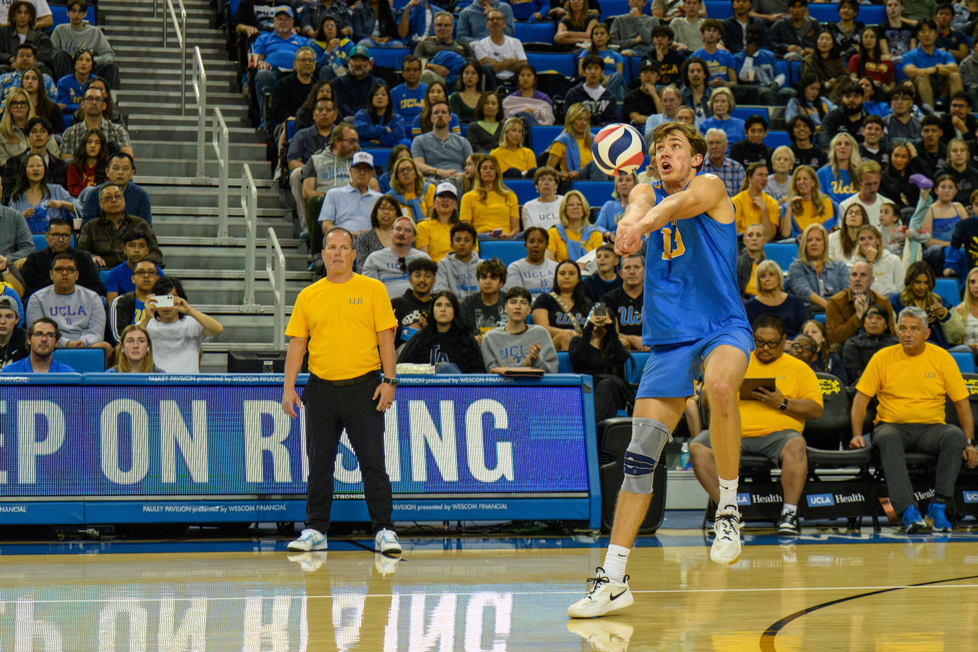 (Ruby Galbraith/Daily Bruin staff)