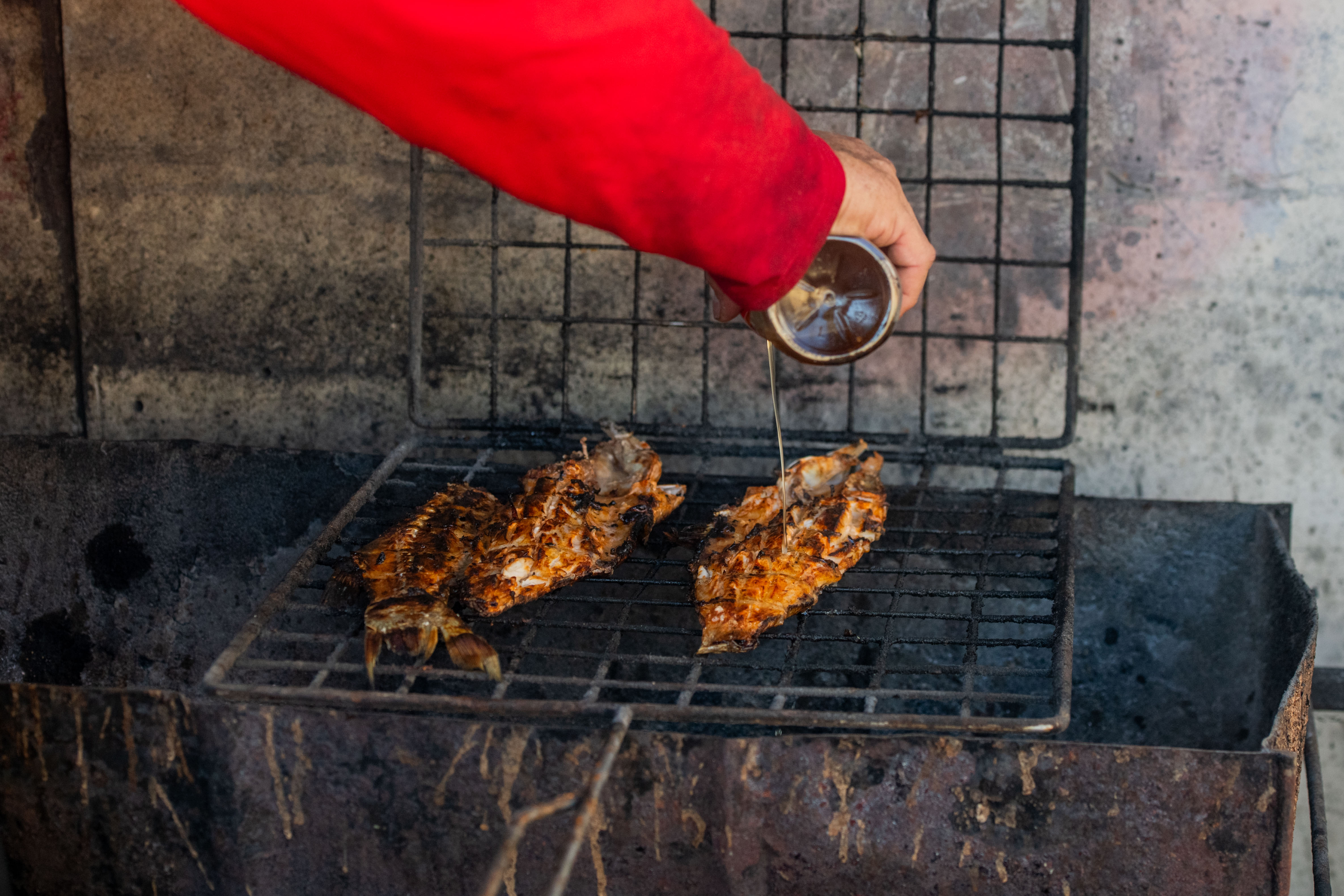 (Izzy Greig/Daily Bruin)