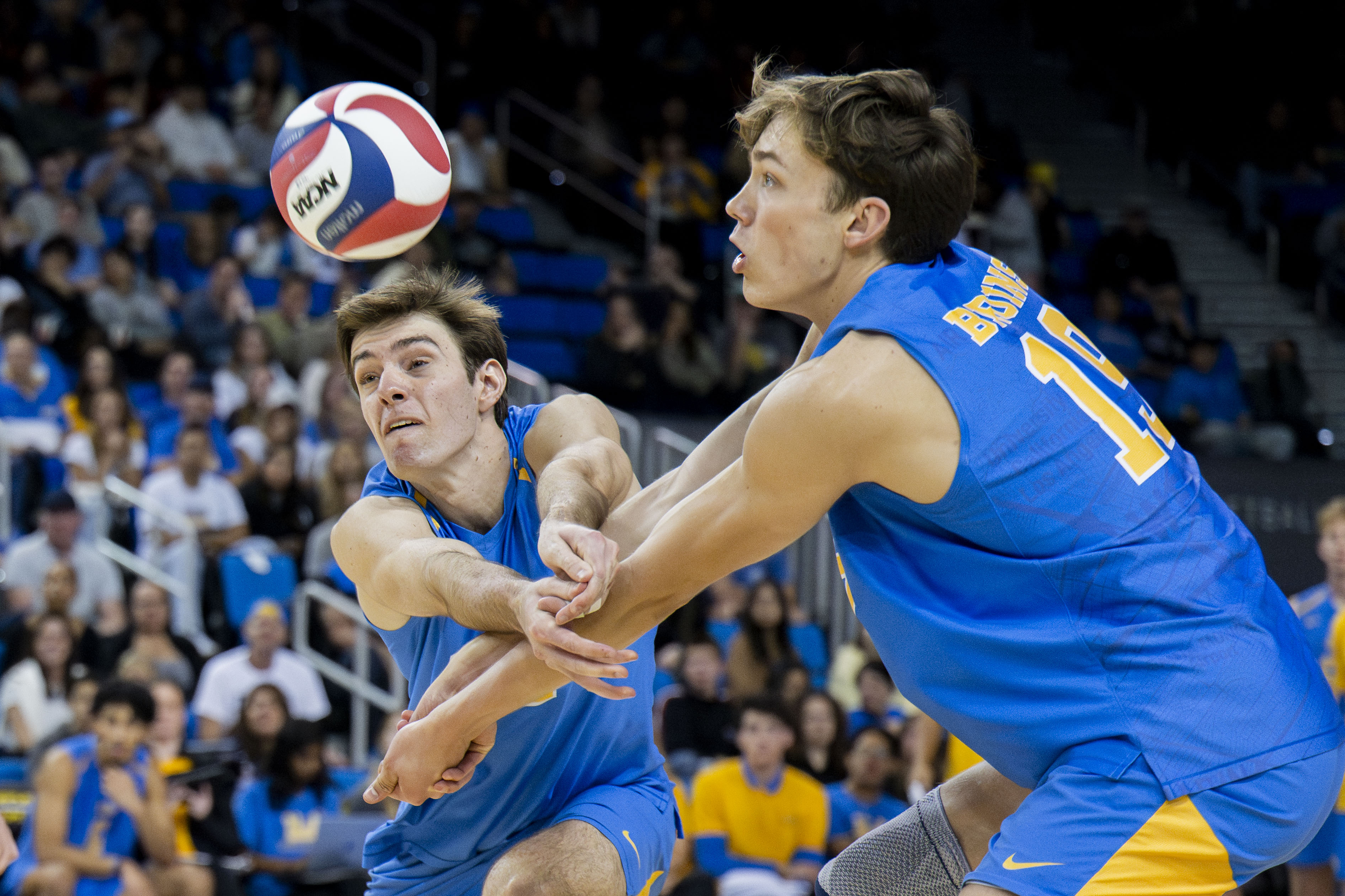 (Ruby Galbraith/Daily Bruin staff)