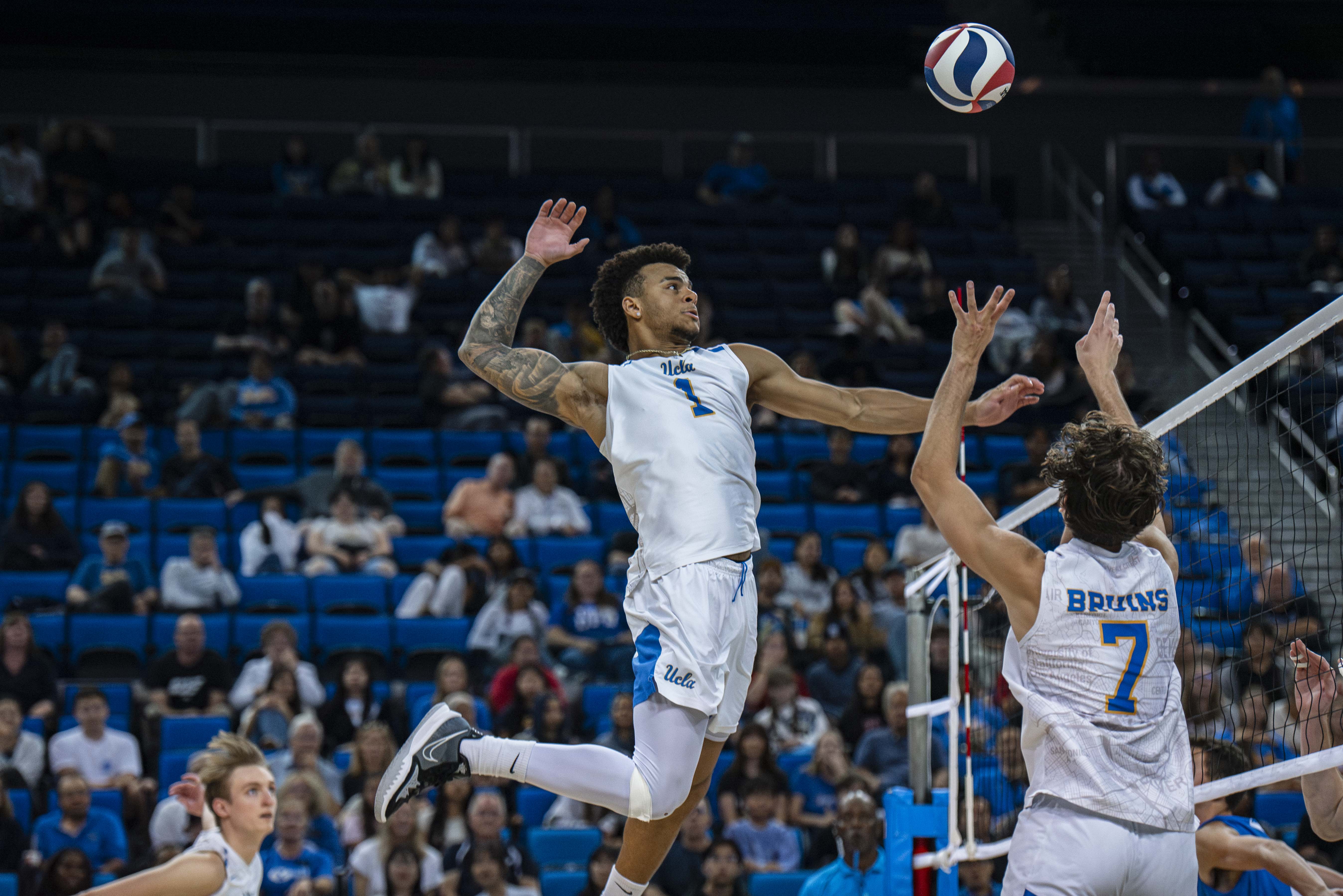 (Bettina Wu/Daily Bruin senior staff)