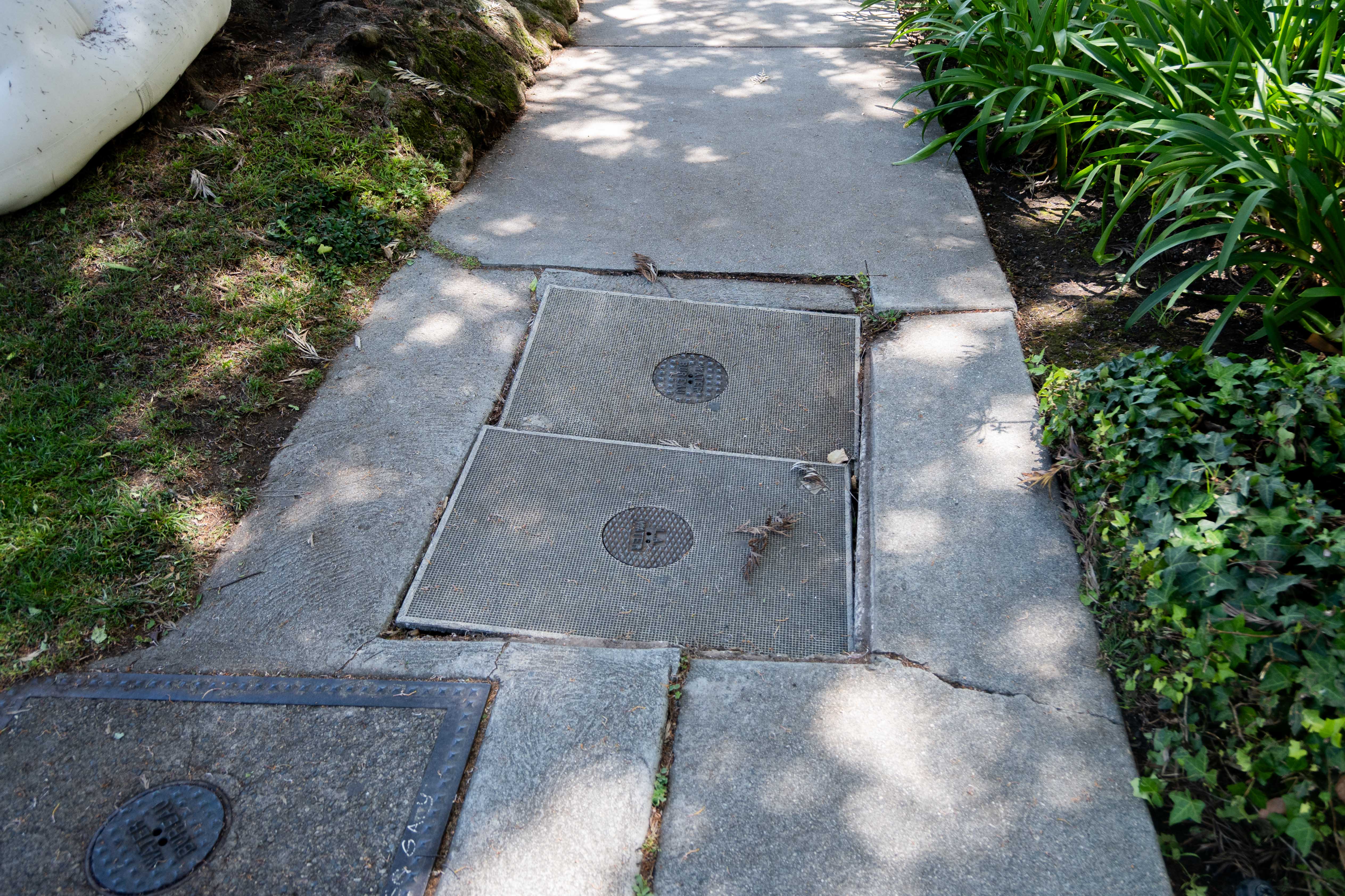 (Karla Cardenas-Felipe/Daily Bruin staff)