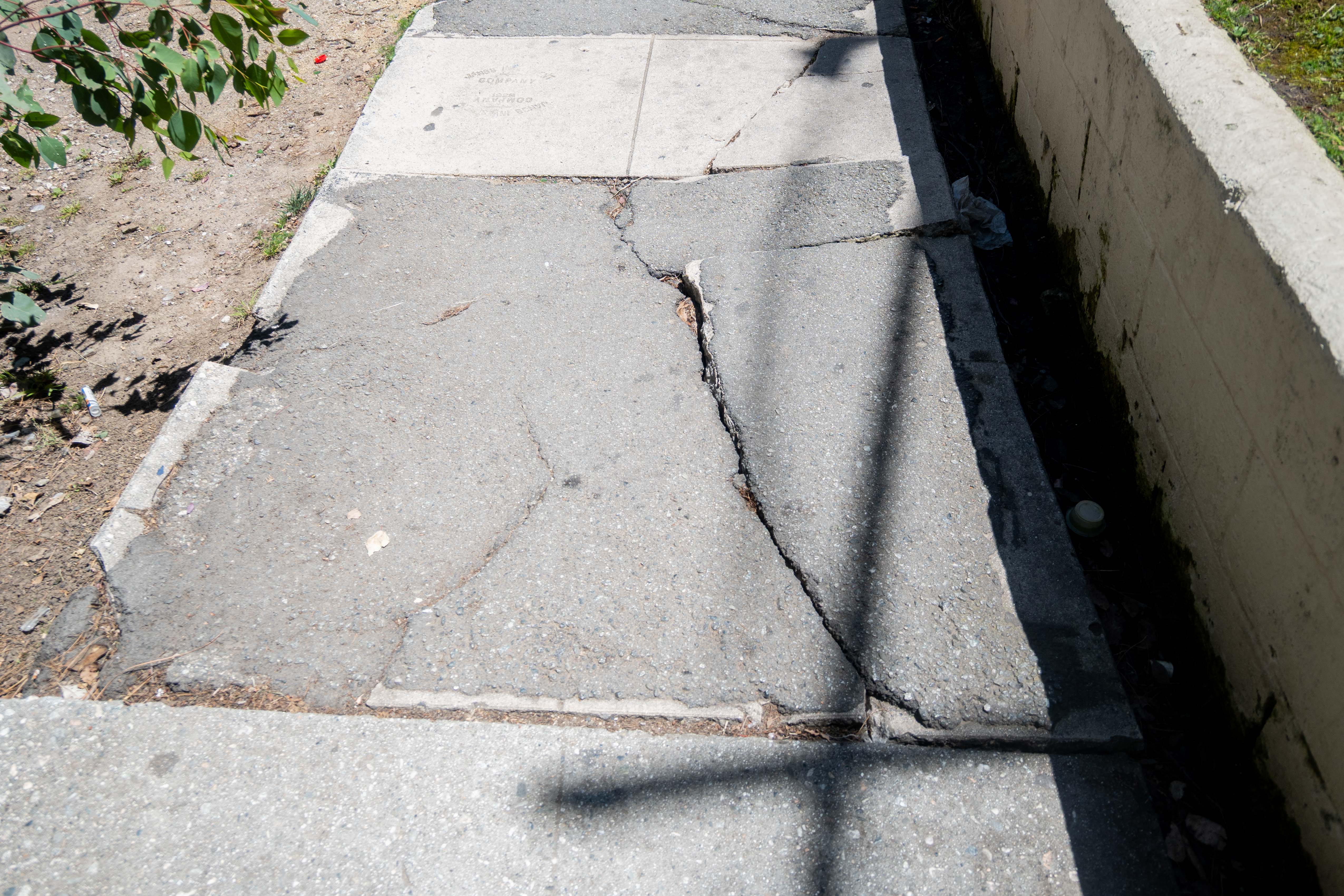 (Karla Cardenas-Felipe/Daily Bruin staff)