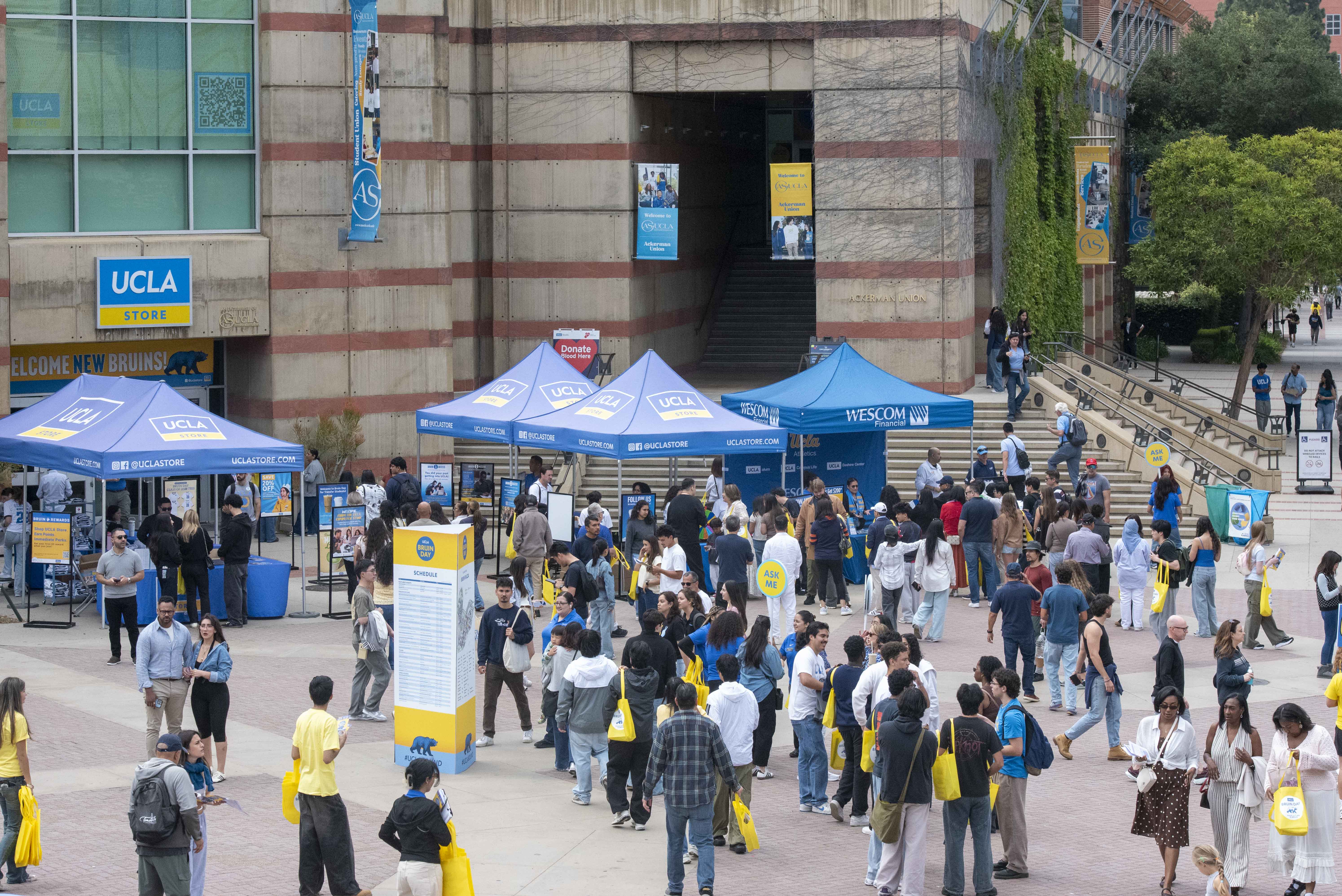 (Presley Liu/Daily Bruin)