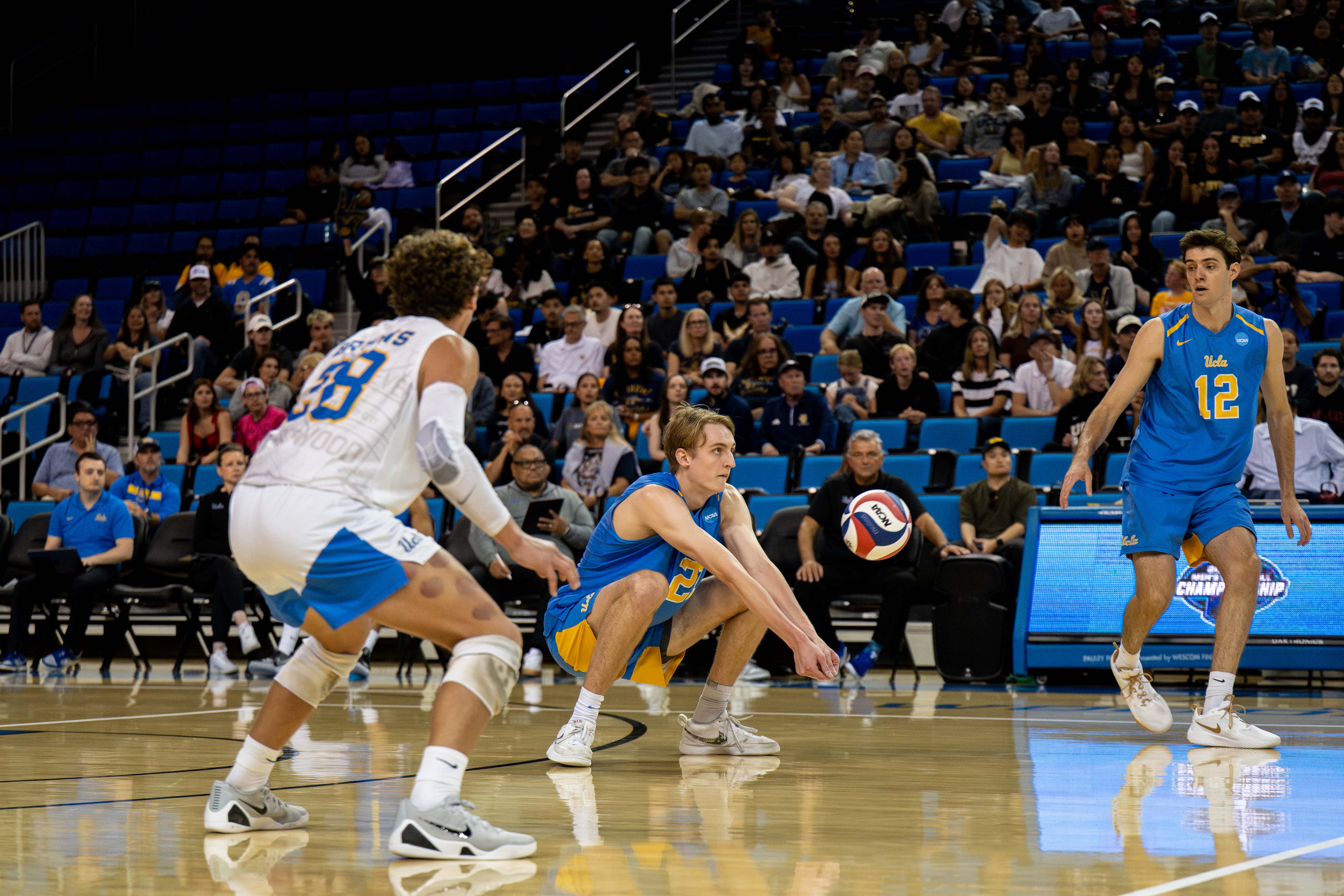 (Ruby Galbraith/Daily Bruin staff)