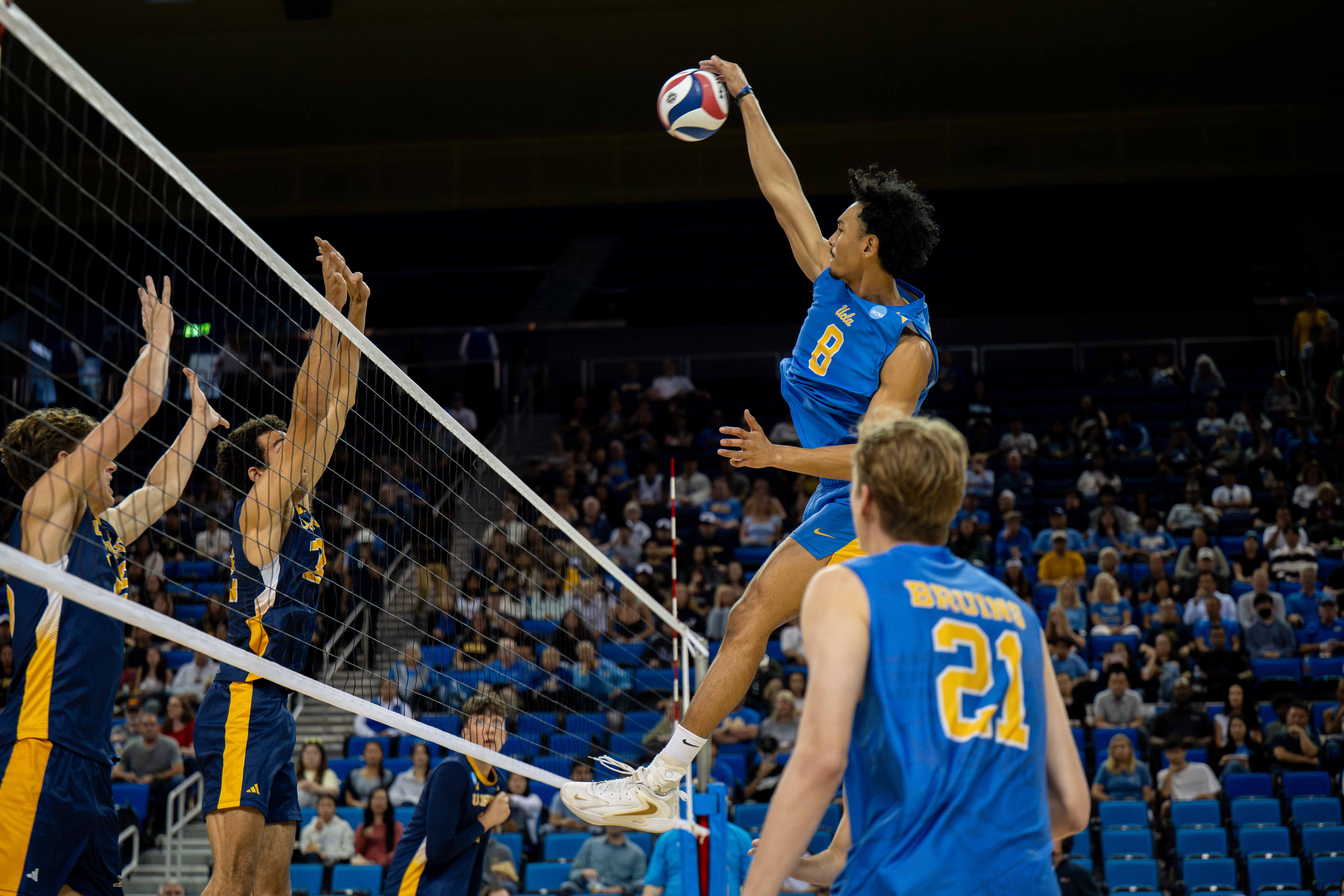 (Ruby Galbraith/Daily Bruin staff)