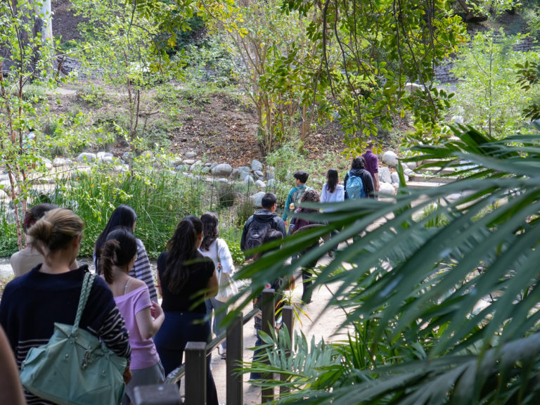 Students explore intersection of nature, health through ecological medicine class