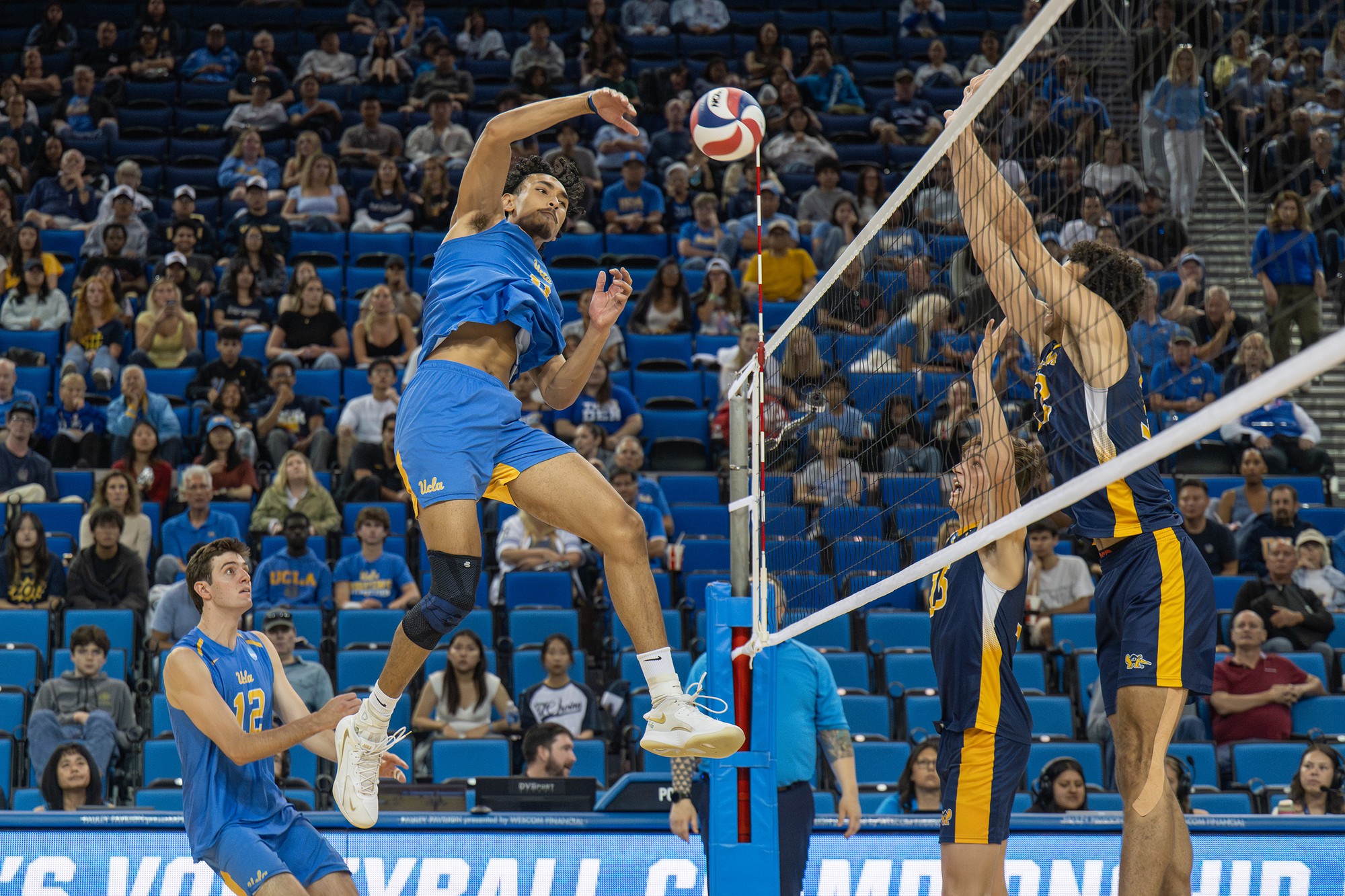(Ruby Galbraith/Daily Bruin staff)
