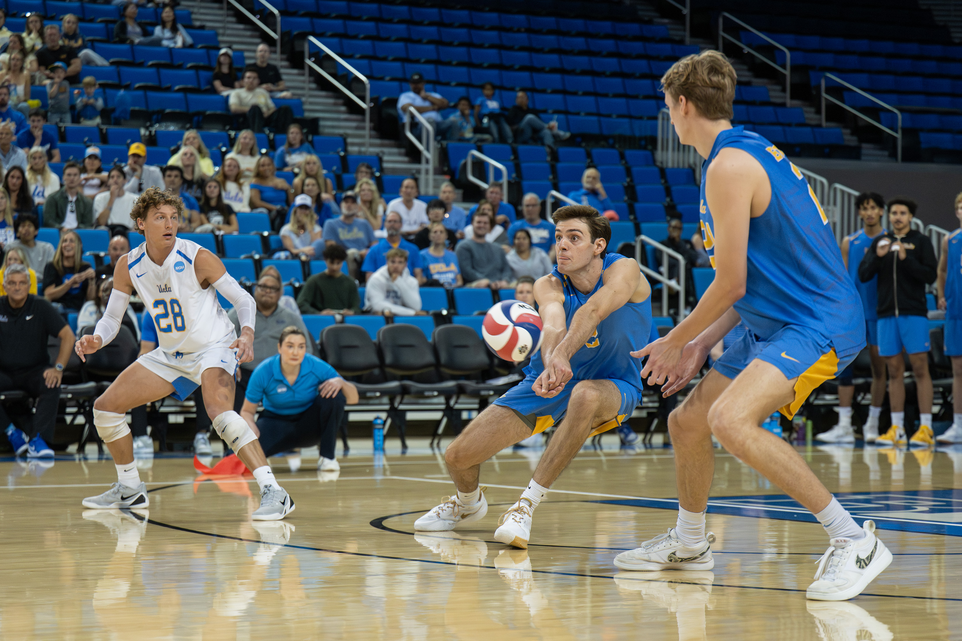 (Ruby Galbraith/Daily Bruin staff)