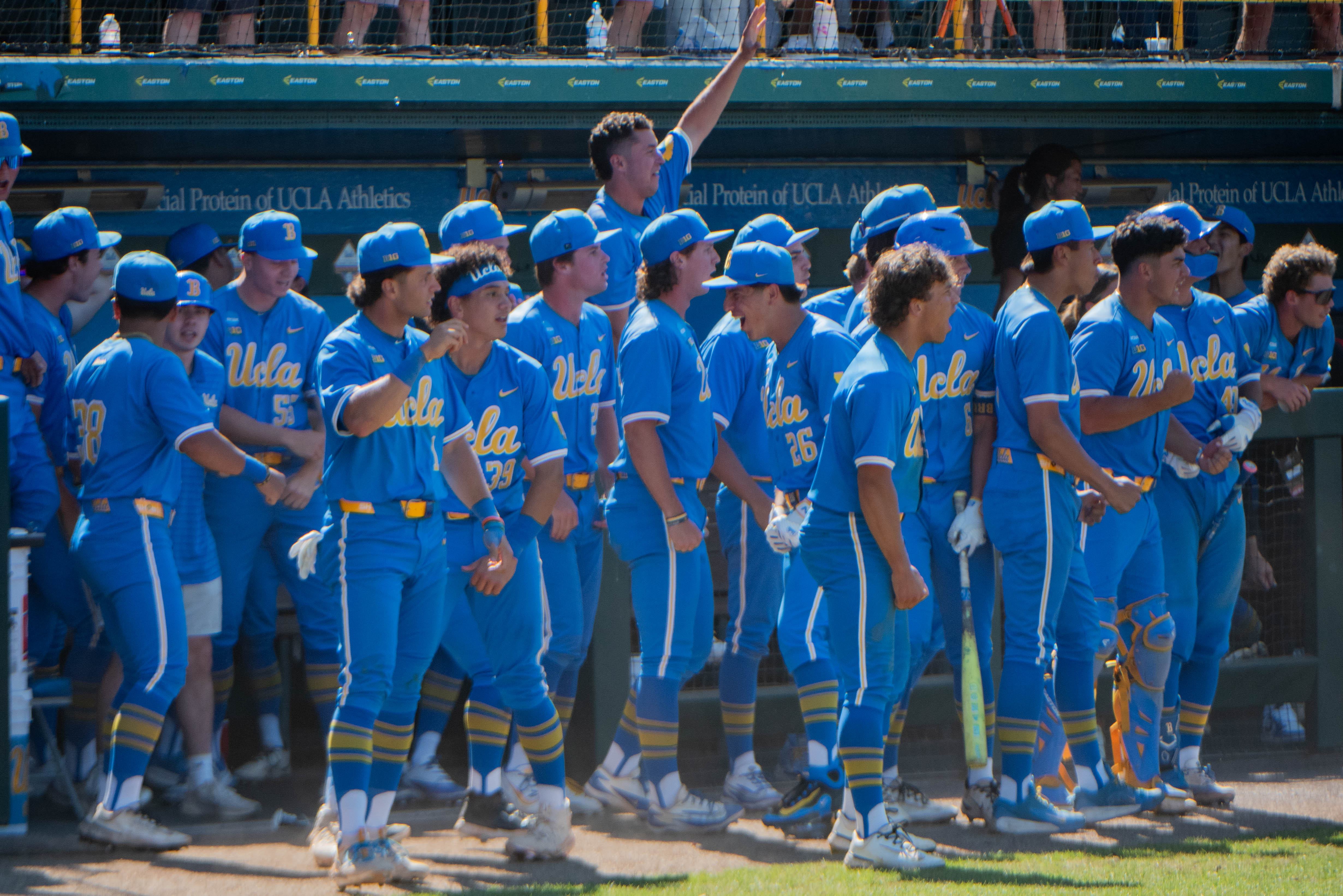 The Bruins pour out of the dugout after third baseman Roman Martin's game-tying ninth-inning home run May 30. (Ruby Galbraith/Daily Bruin staff)