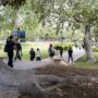 Students walk on UCLA’s campus. UCLA’s head of strategic communications asked a court Wednesday to block the UC Board of Regents from releasing a report that her lawyers allege would damage her reputation. (Crystal Tompkins/Daily Bruin senior staff)
