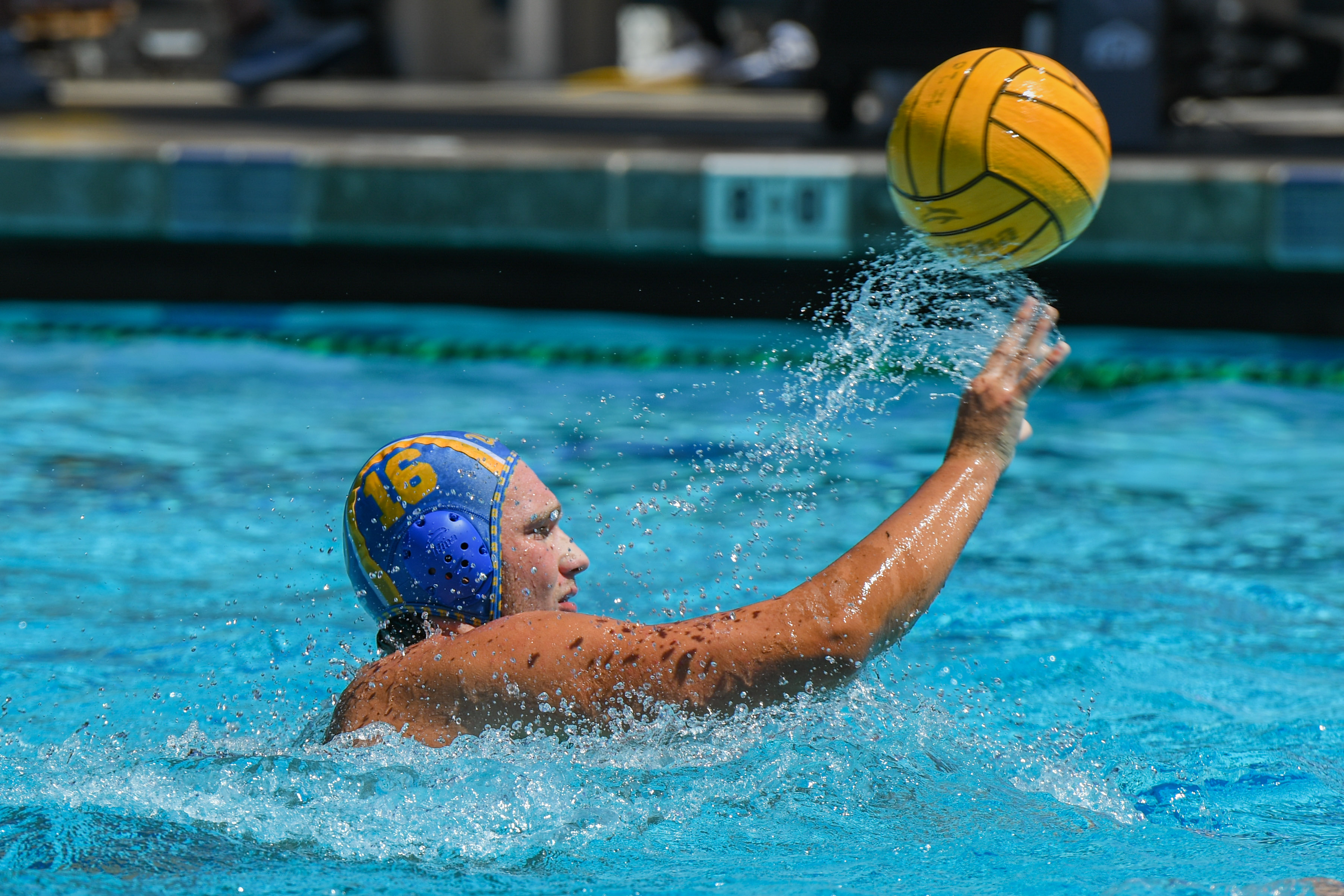 (Amelia Chief/Daily Bruin senior staff)