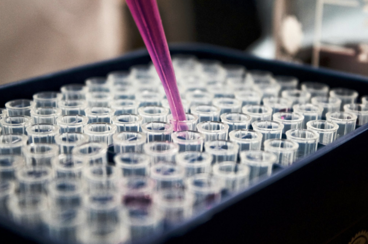 Follicular Frontiers: Research Peptides and Their Expanding Role in ...