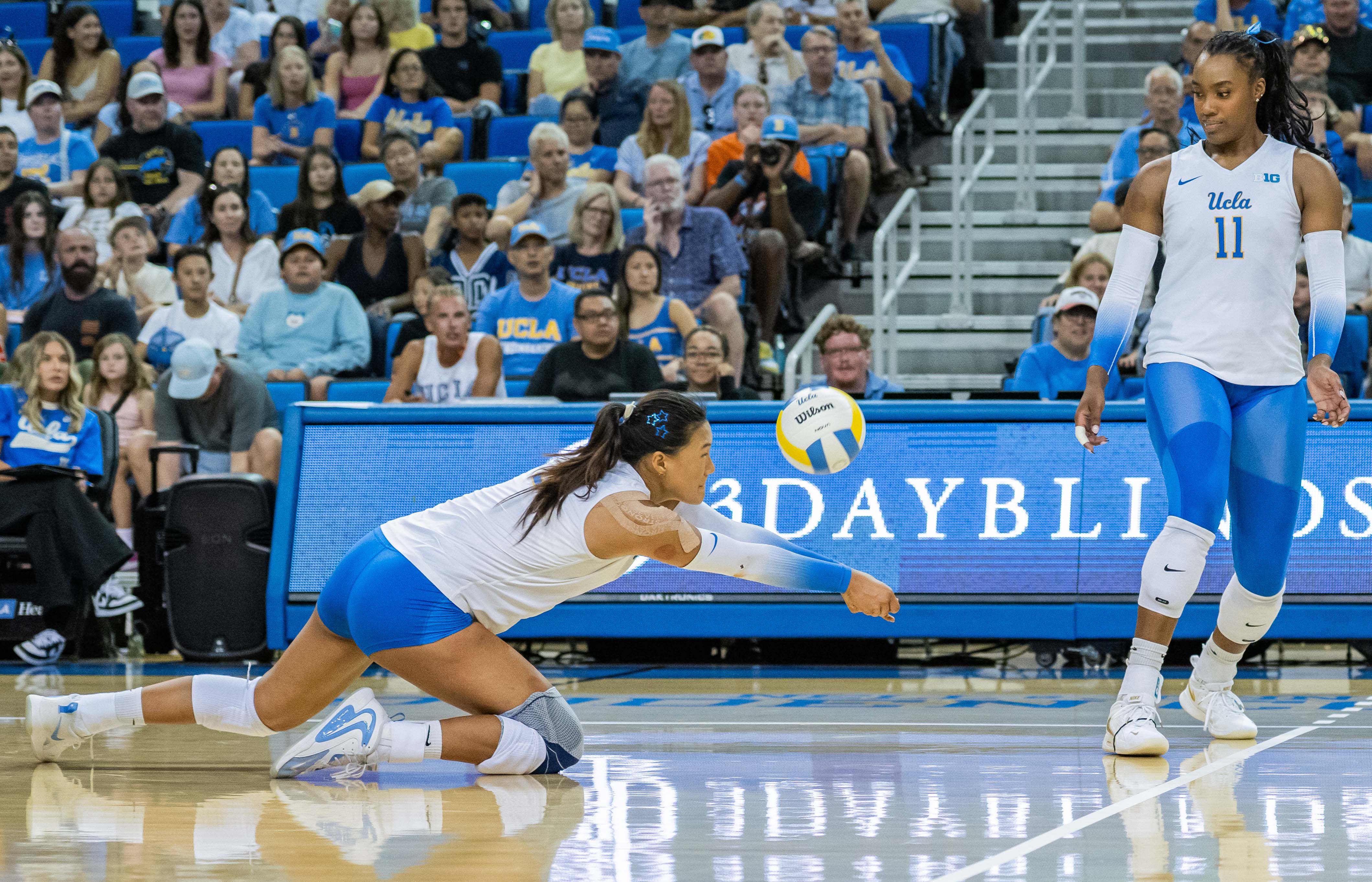 (Amelia Chief/Daily Bruin senior staff)