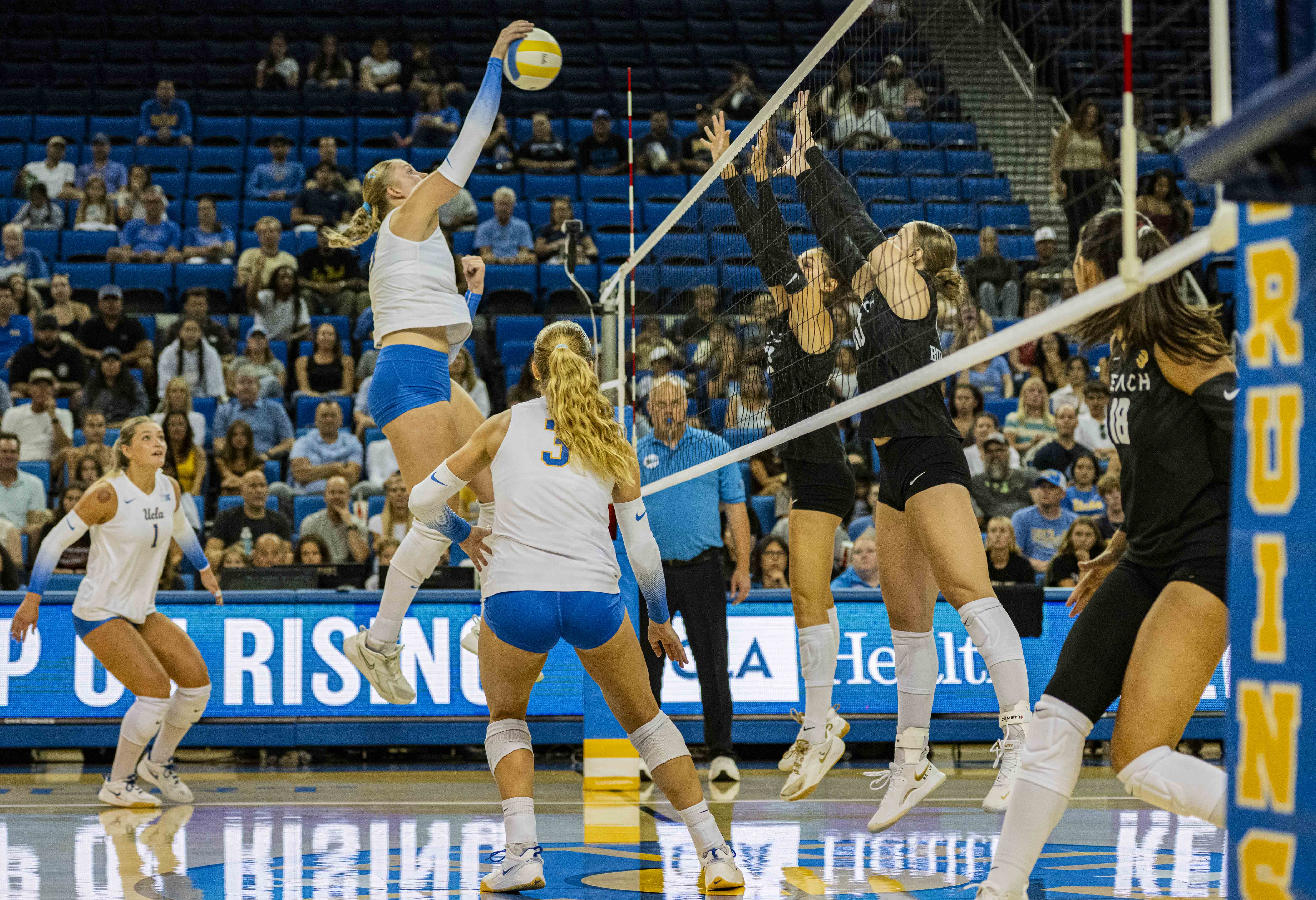(Amelia Chief/Daily Bruin senior staff)