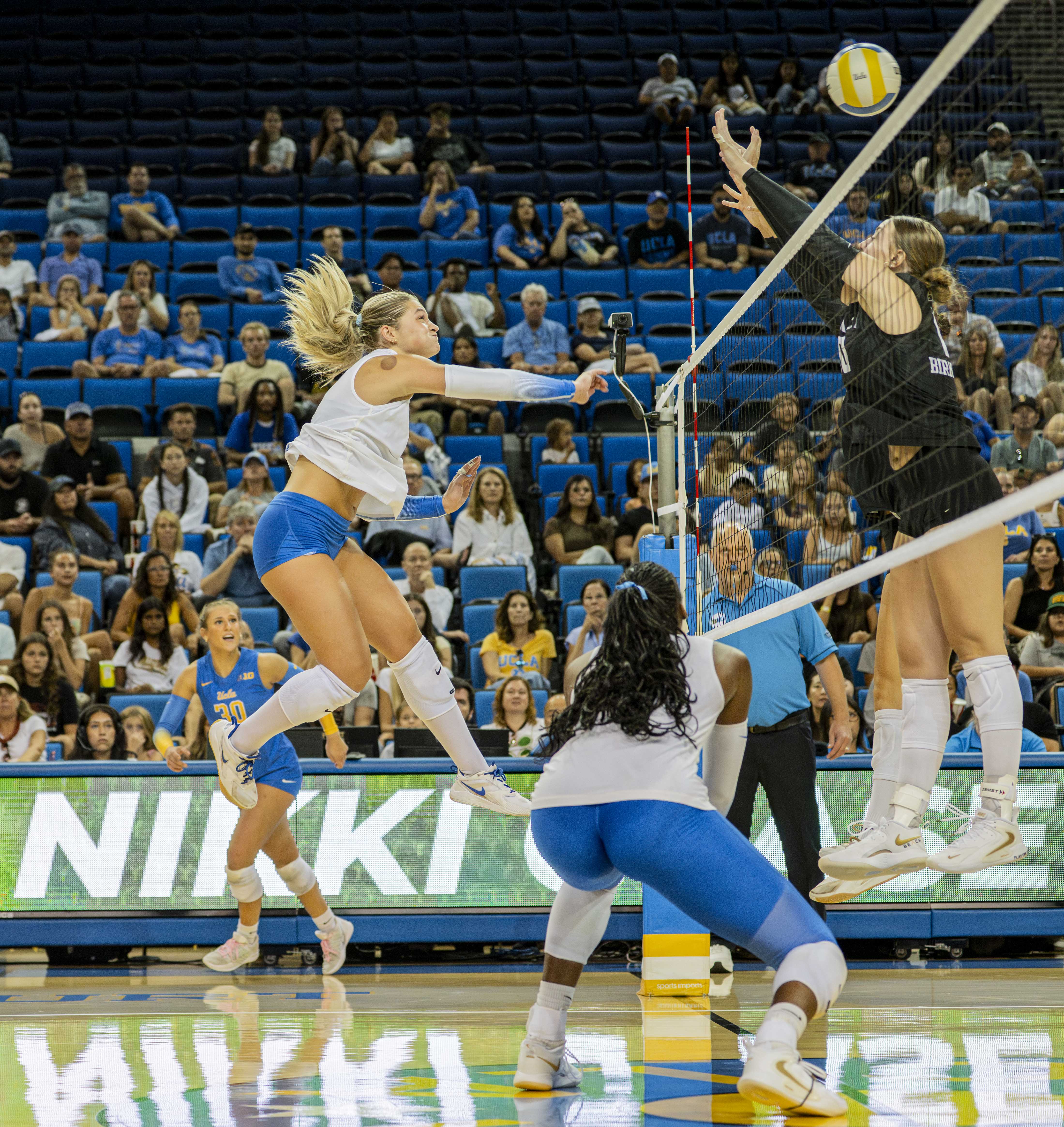 (Amelia Chief/Daily Bruin senior staff)