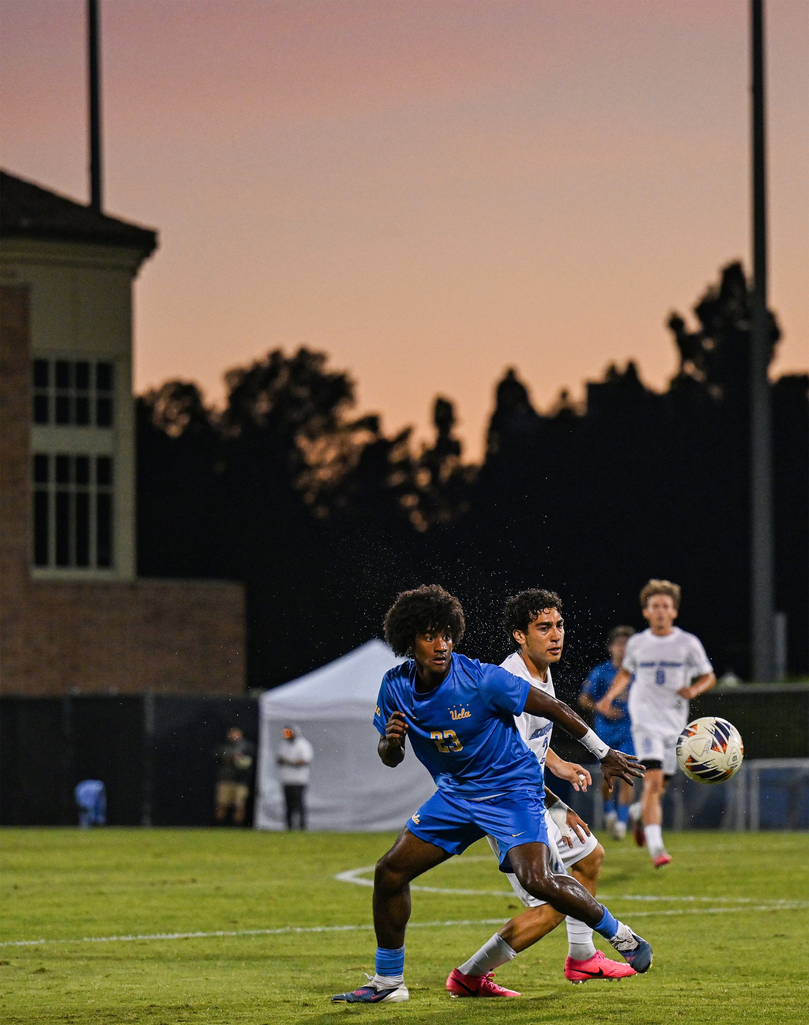 (Presley Liu/Daily Bruin senior staff)